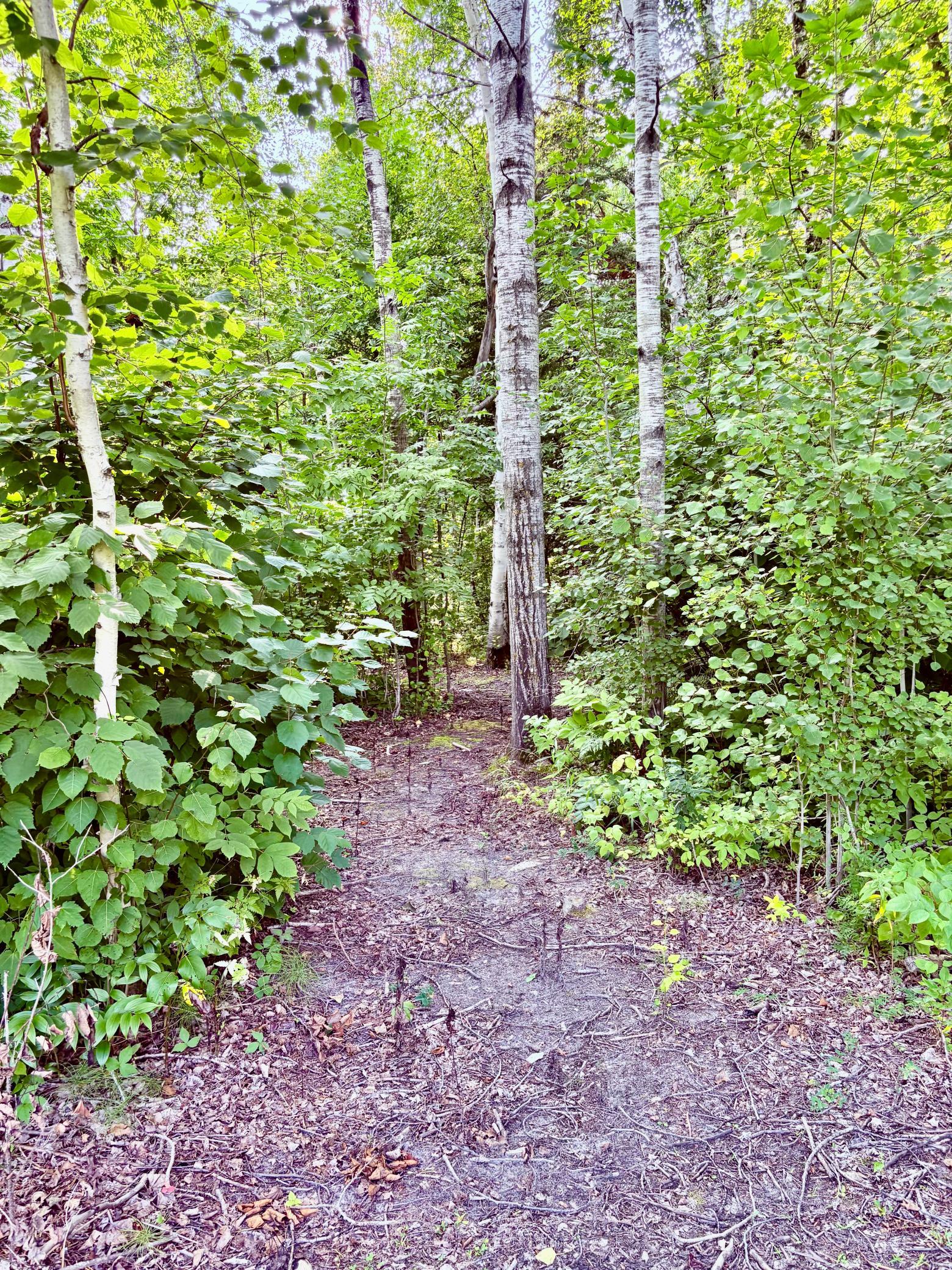 1997 single family home for sale at 29386 685th Avenue in Roosevelt, MN — 3 bed, 2 bath (photo 23 of 46)