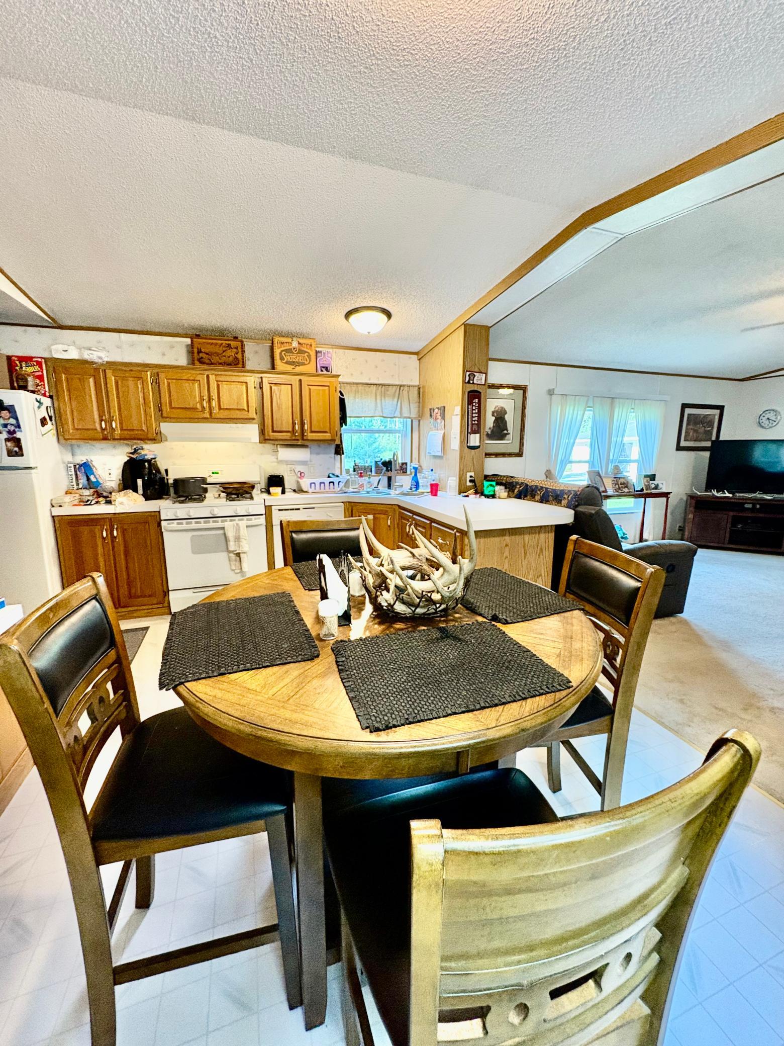 1997 single family home for sale at 29386 685th Avenue in Roosevelt, MN — 3 bed, 2 bath (photo 7 of 46)