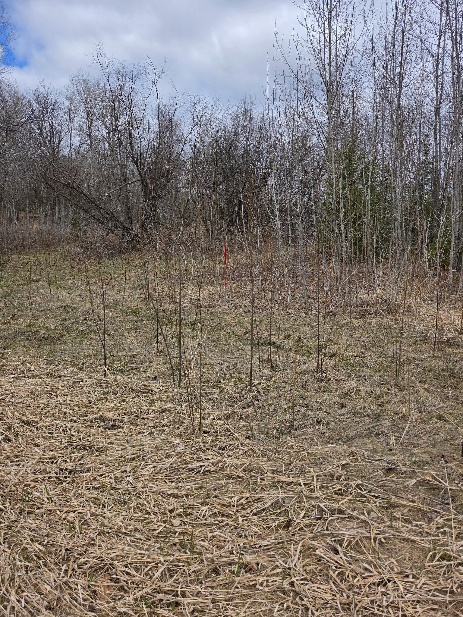 land for sale at TBD Rolland Road in Cohasset, MN