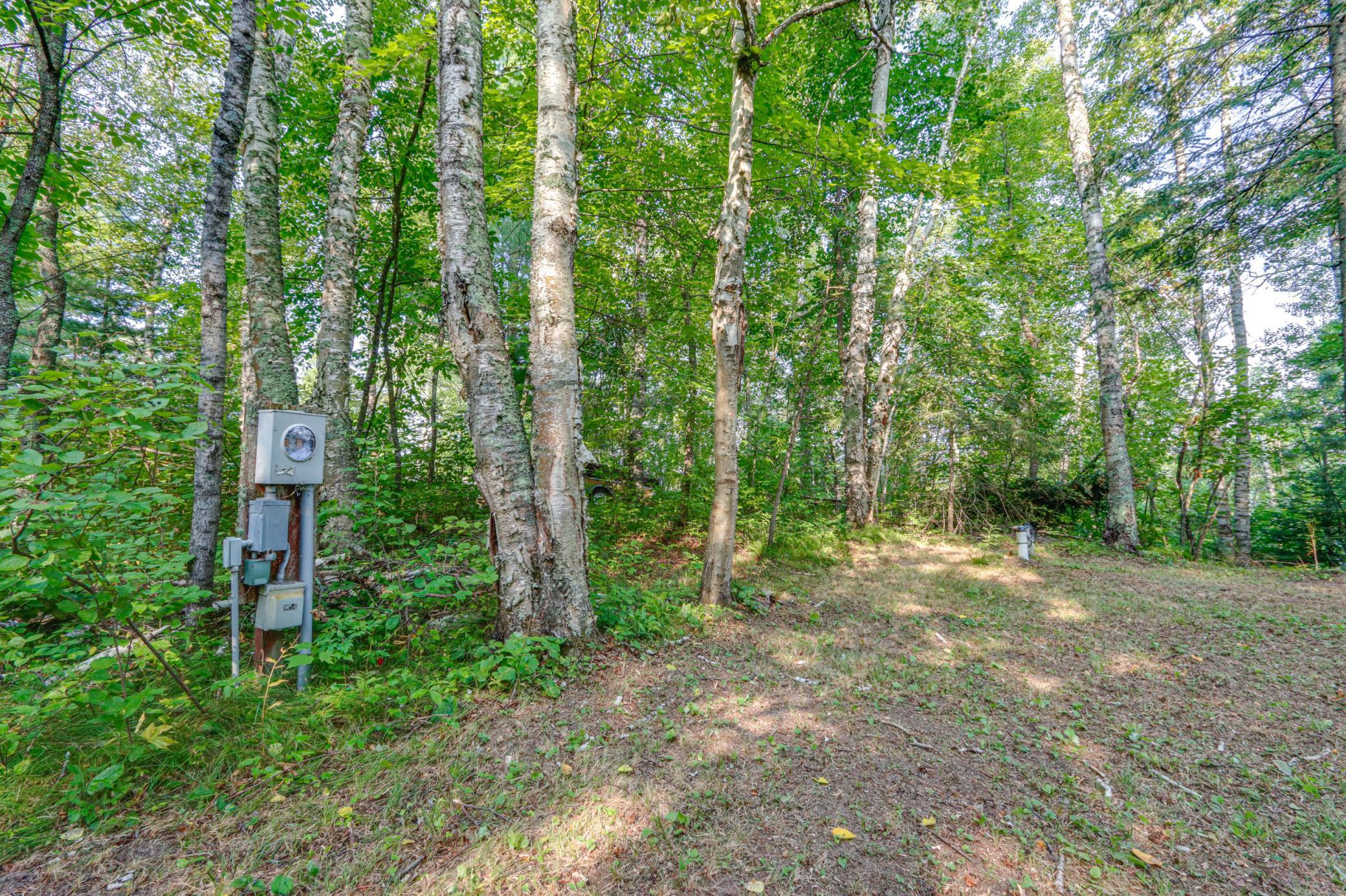 land for sale at 46823 Hartley Lake Road in Bovey, MN (photo 11 of 38)