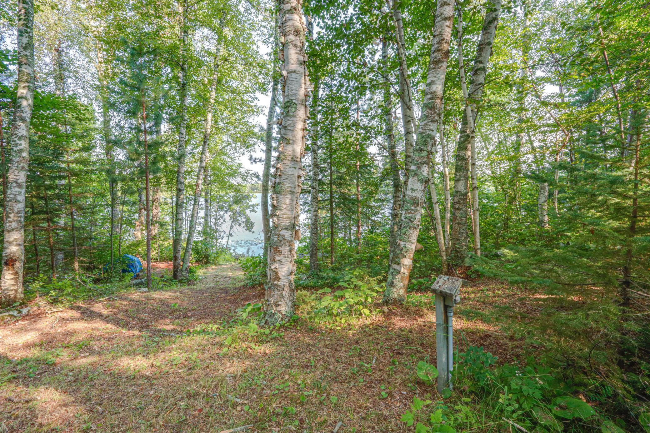 land for sale at 46823 Hartley Lake Road in Bovey, MN (photo 18 of 38)