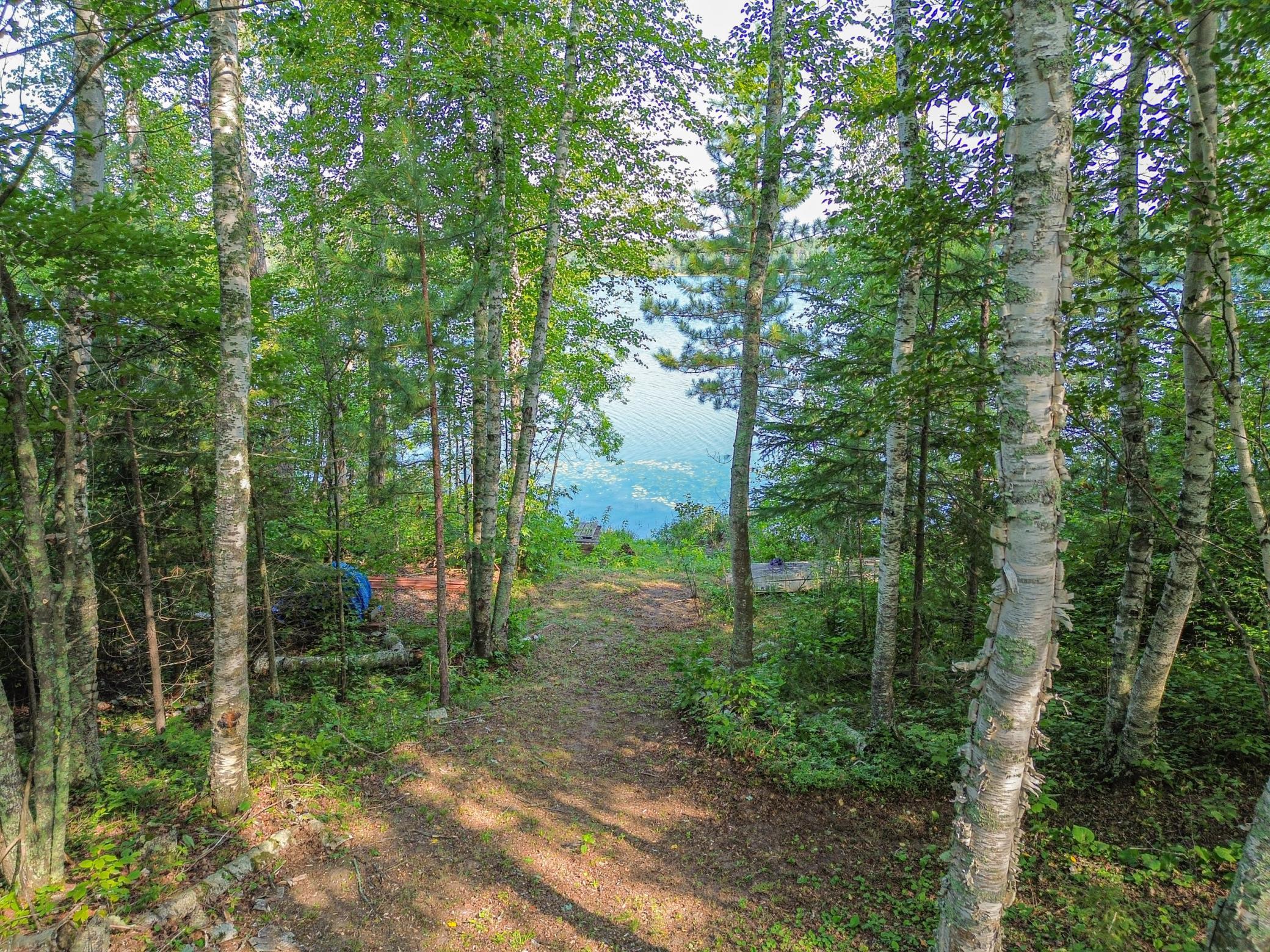 land for sale at 46823 Hartley Lake Road in Bovey, MN (photo 20 of 38)
