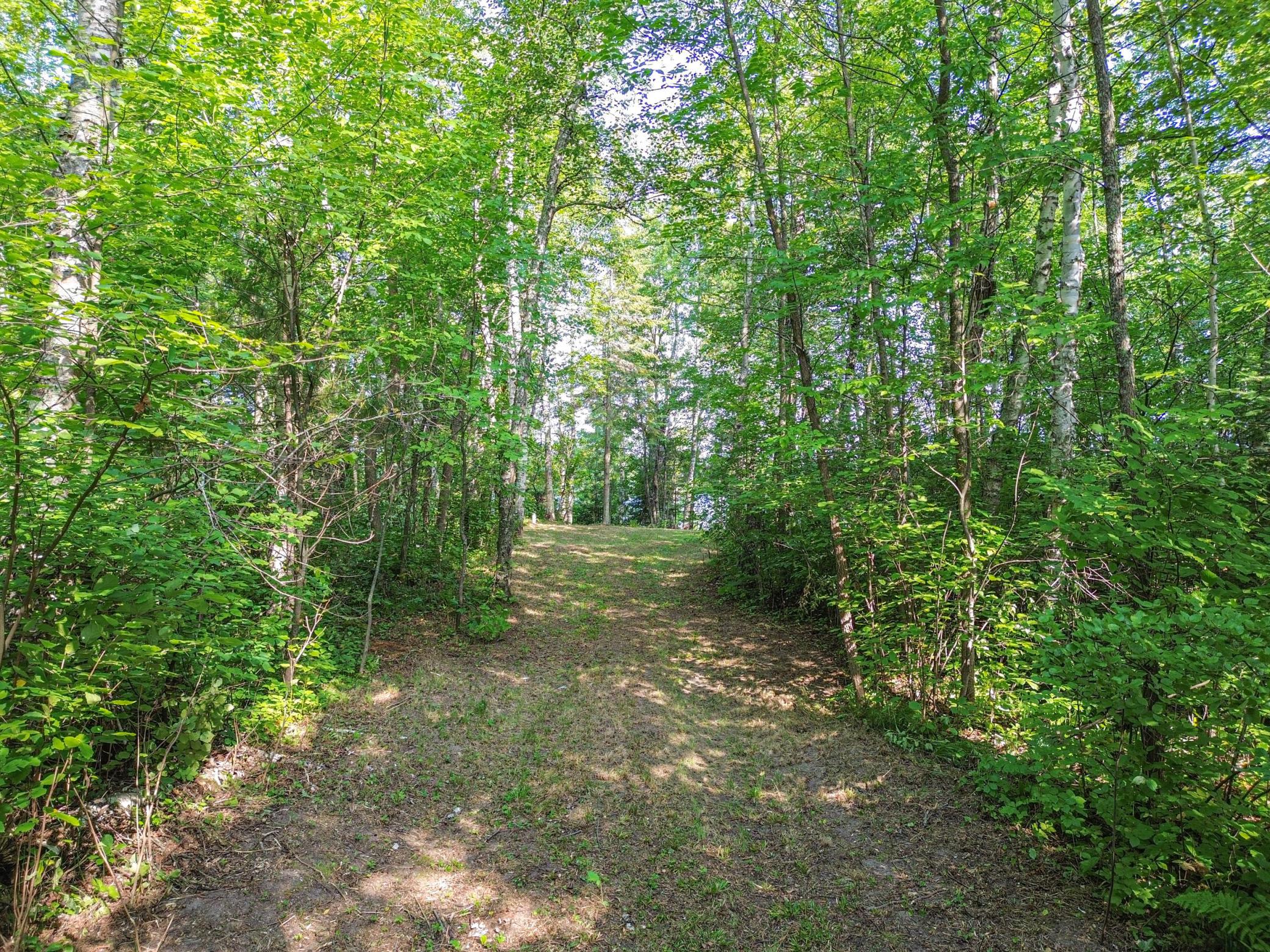 land for sale at 46823 Hartley Lake Road in Bovey, MN (photo 5 of 38)