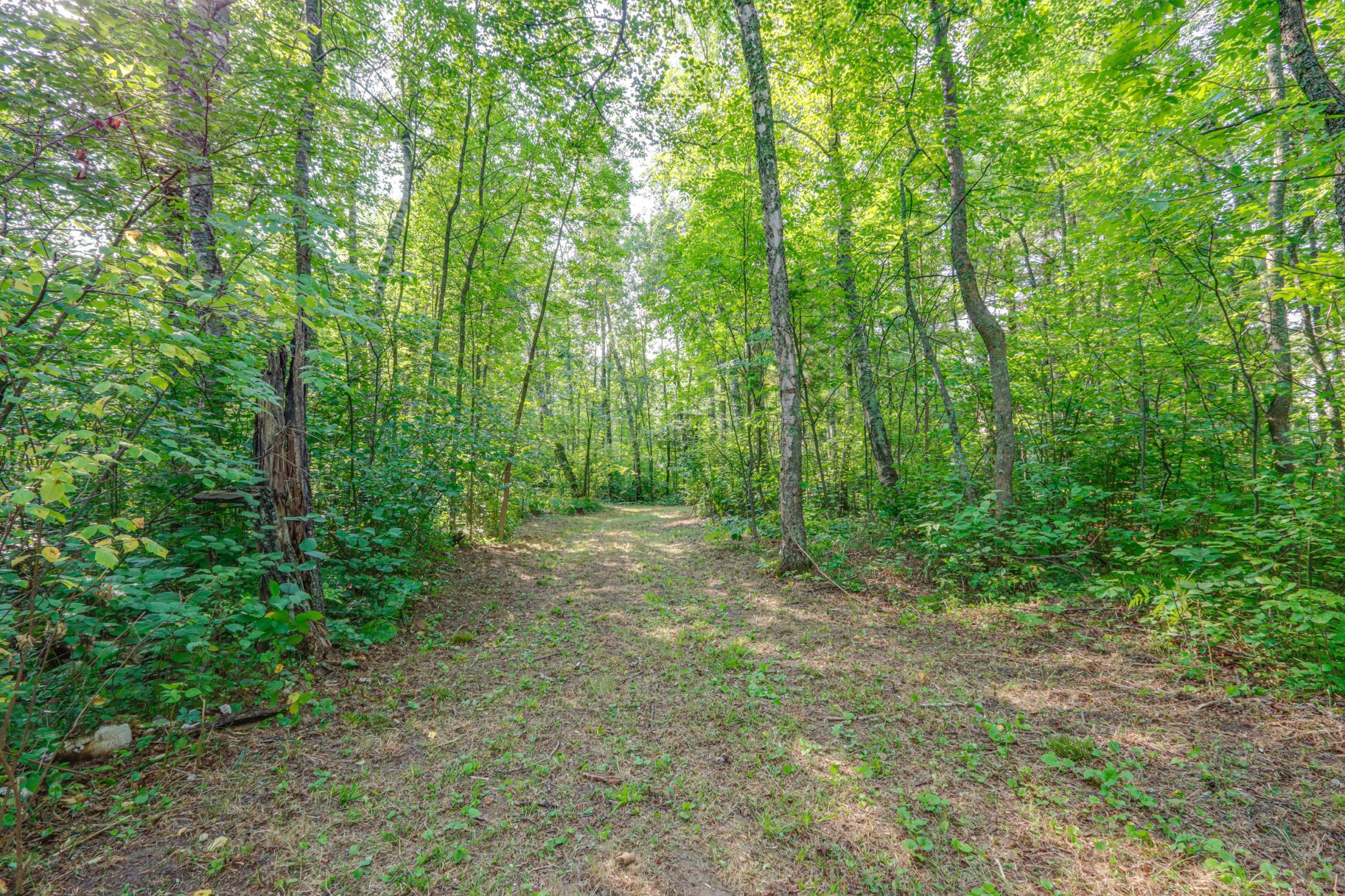 land for sale at 46823 Hartley Lake Road in Bovey, MN (photo 6 of 38)