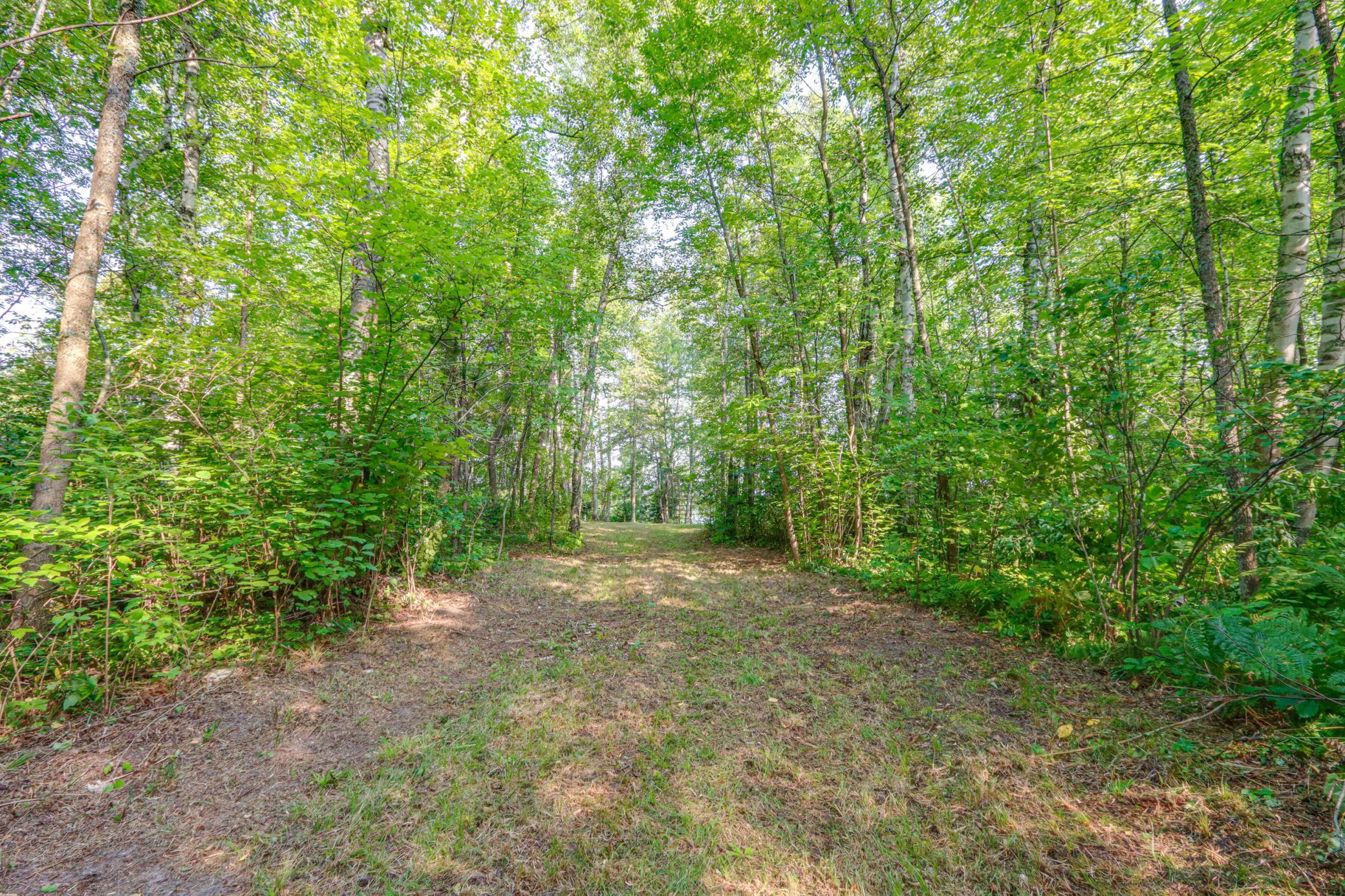land for sale at 46823 Hartley Lake Road in Bovey, MN (photo 7 of 38)