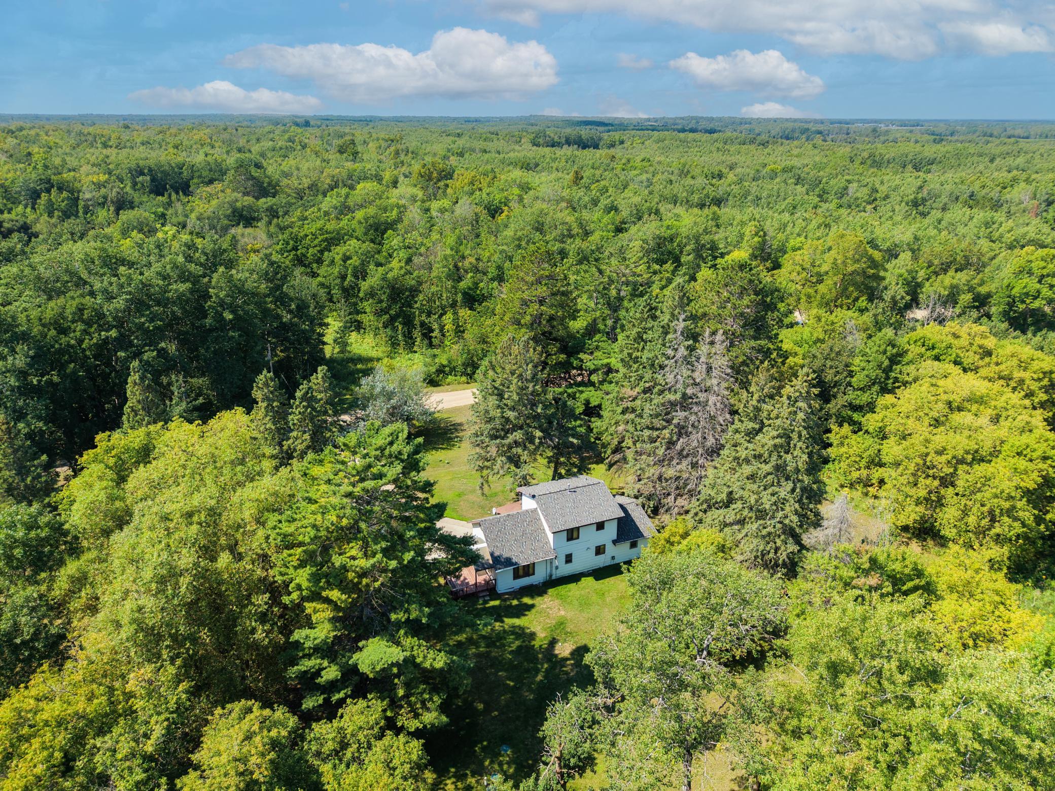 1930 single family home for sale at 45004 221st Avenue in Leonard, MN — 3 bed, 1 bath (photo 34 of 36)