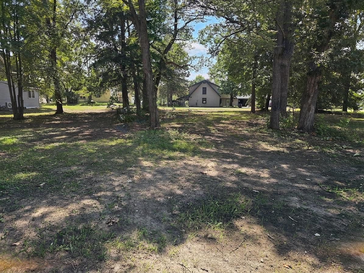 1910 land for sale at TBD Serpent Road in Deerwood, MN (photo 4 of 6)