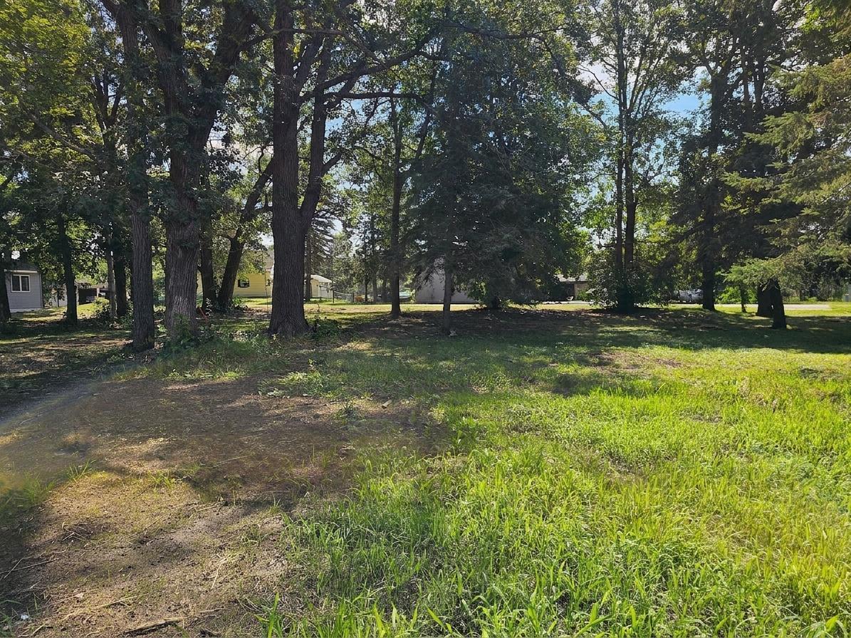 1910 land for sale at TBD Serpent Road in Deerwood, MN (photo 5 of 6)