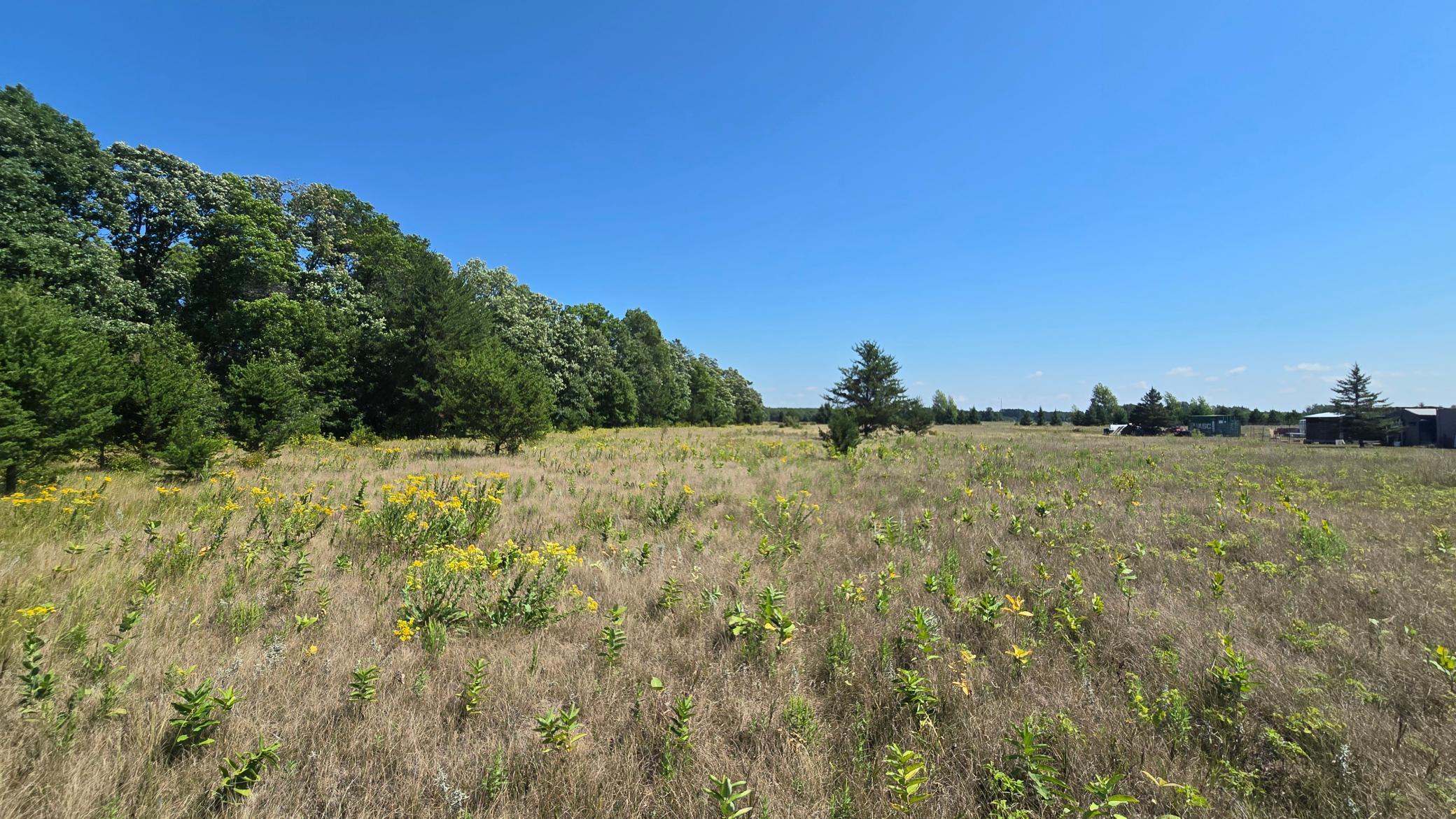 land for sale at TBD Ravenswood Road in Brainerd, MN (photo 11 of 16)