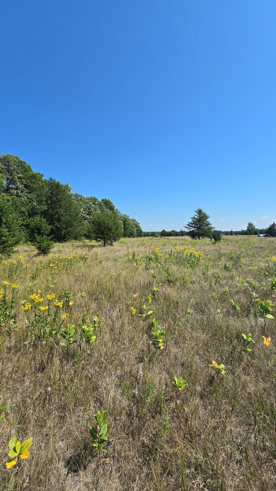 land for sale at TBD Ravenswood Road in Brainerd, MN (photo 12 of 16)