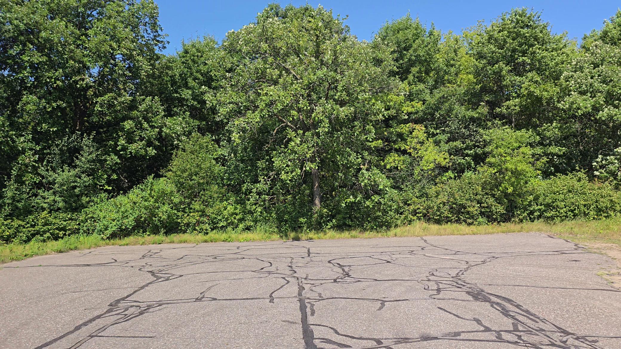 land for sale at TBD Ravenswood Road in Brainerd, MN (photo 15 of 16)