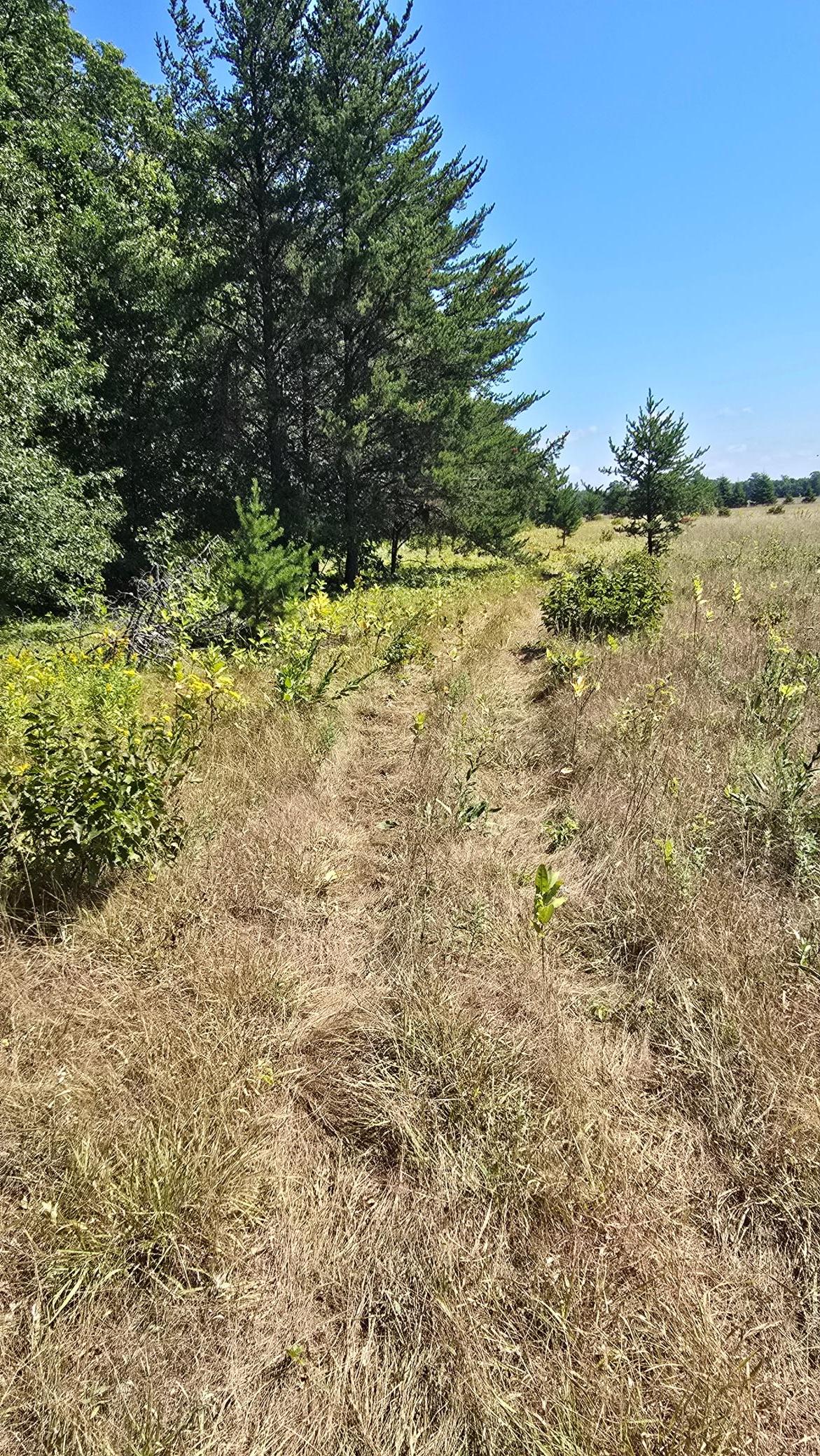 land for sale at TBD Ravenswood Road in Brainerd, MN (photo 3 of 16)