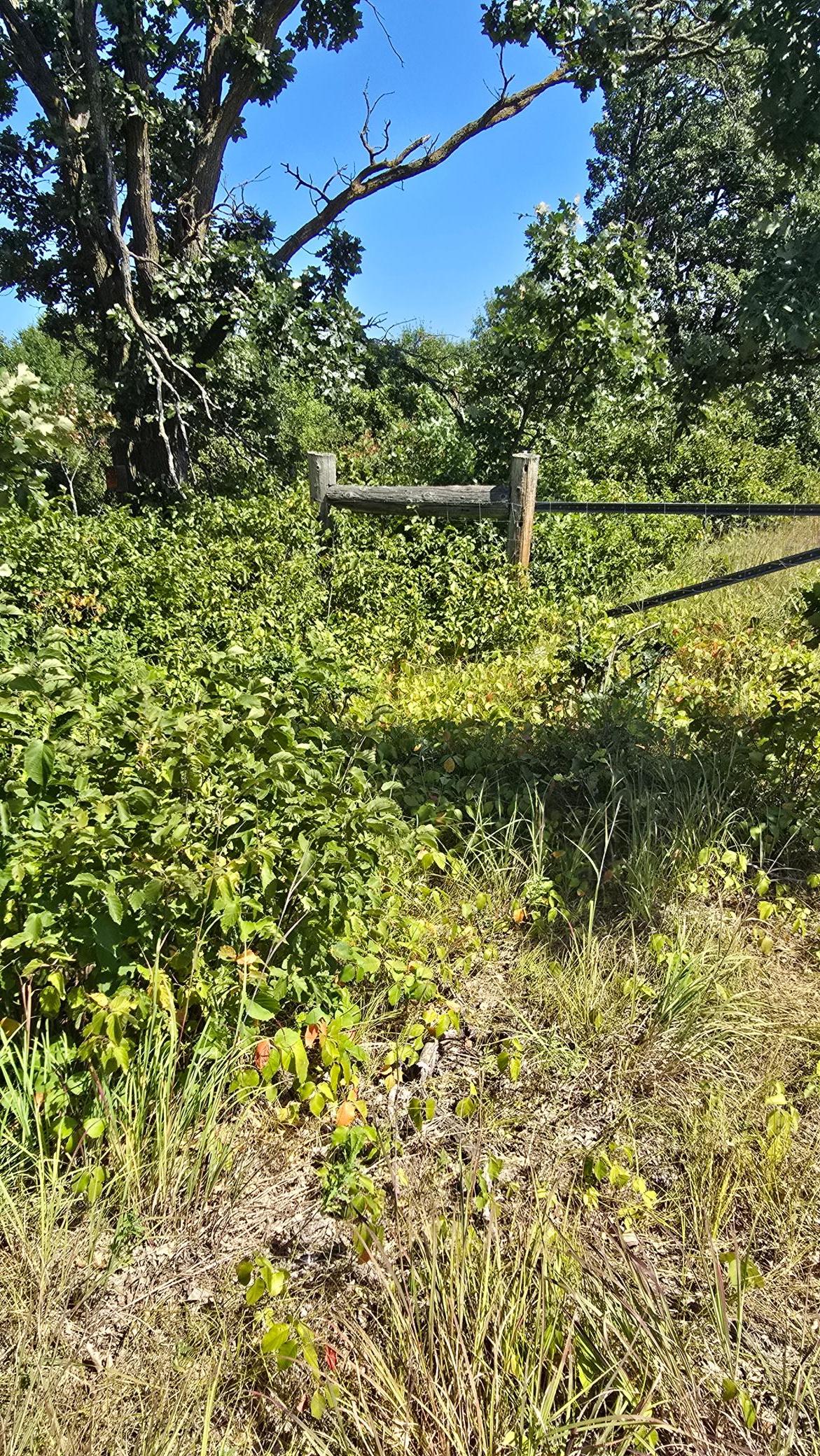 land for sale at TBD Ravenswood Road in Brainerd, MN (photo 4 of 16)