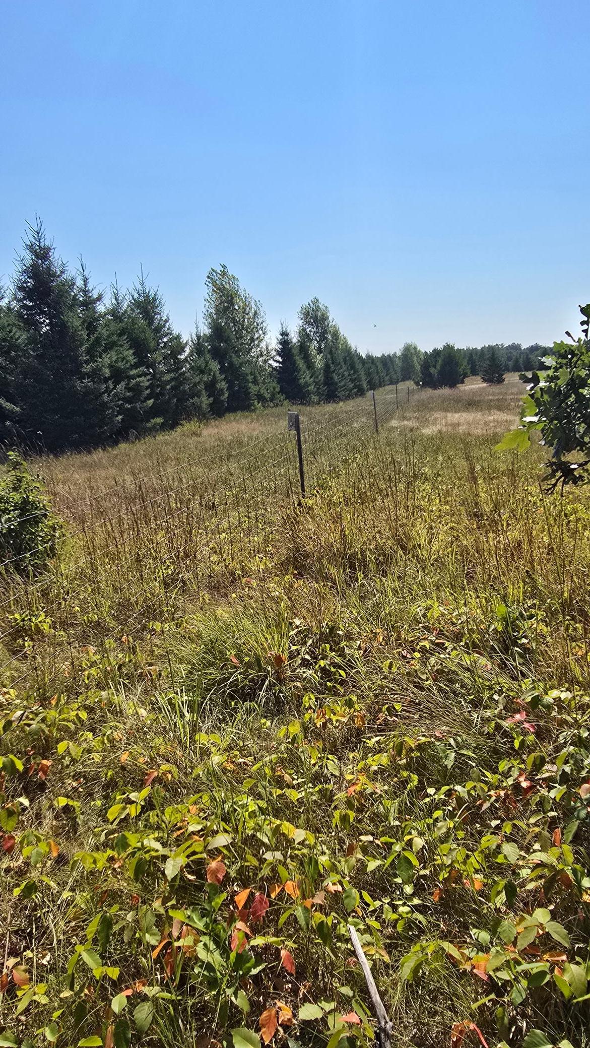 land for sale at TBD Ravenswood Road in Brainerd, MN (photo 5 of 16)