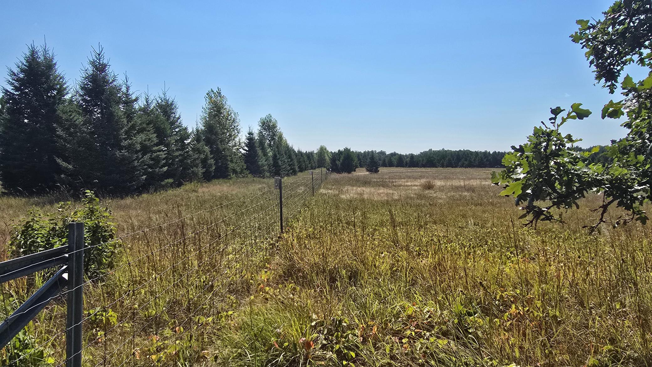 land for sale at TBD Ravenswood Road in Brainerd, MN (photo 6 of 16)