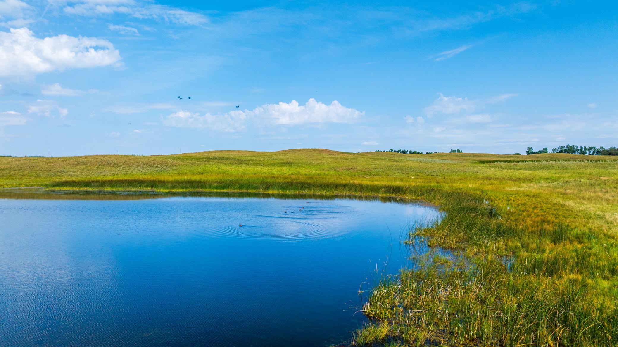 land for sale at TBD 20 Ave SE Lot 1 in Goodrich, ND (photo 15 of 43)