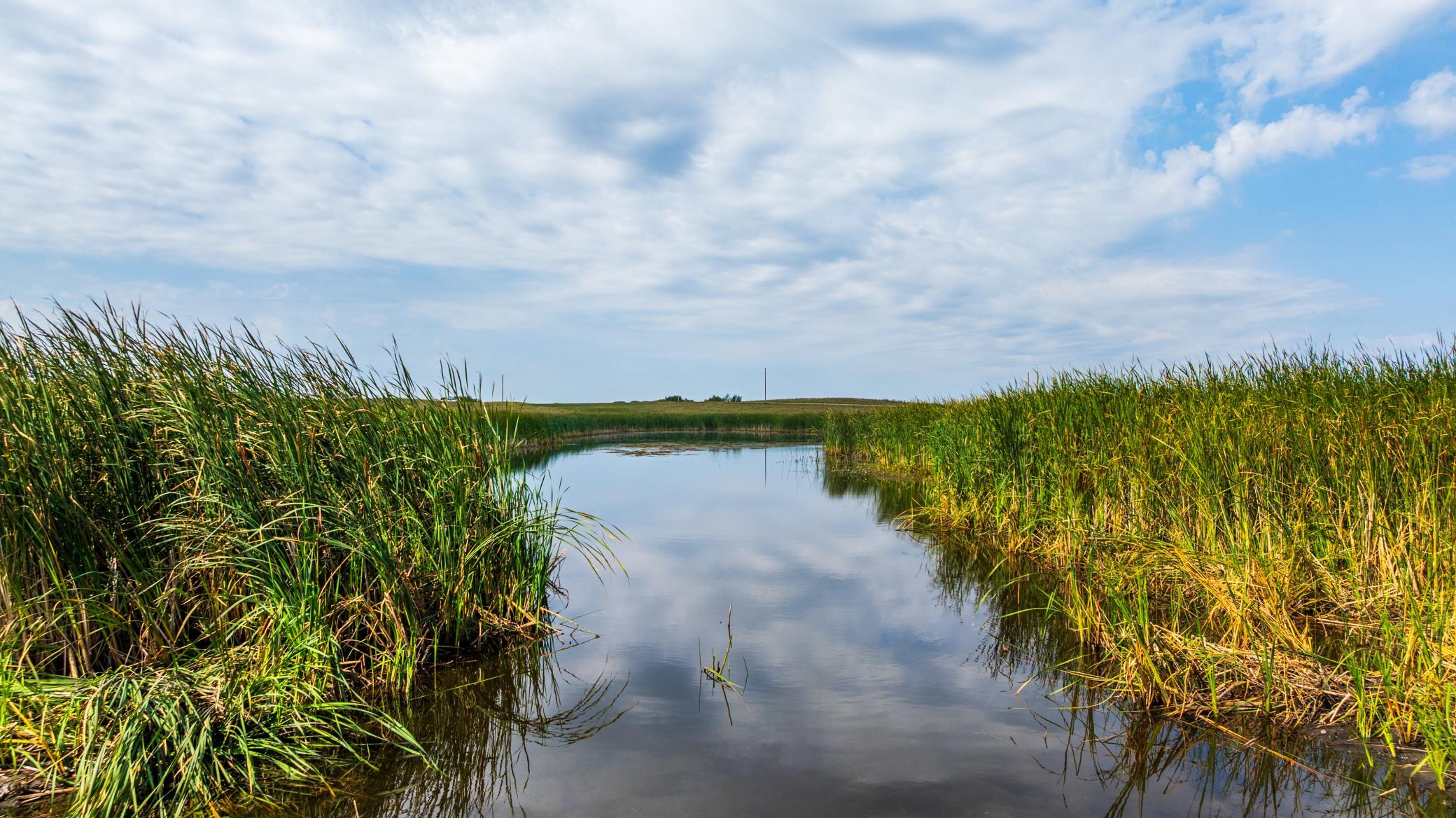 land for sale at TBD 20 Ave SE Lot 1 in Goodrich, ND (photo 28 of 43)