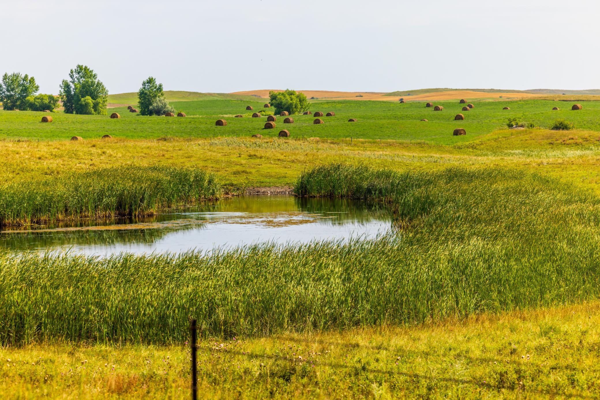 land for sale at TBD 20 Ave SE Lot 1 in Goodrich, ND (photo 36 of 43)