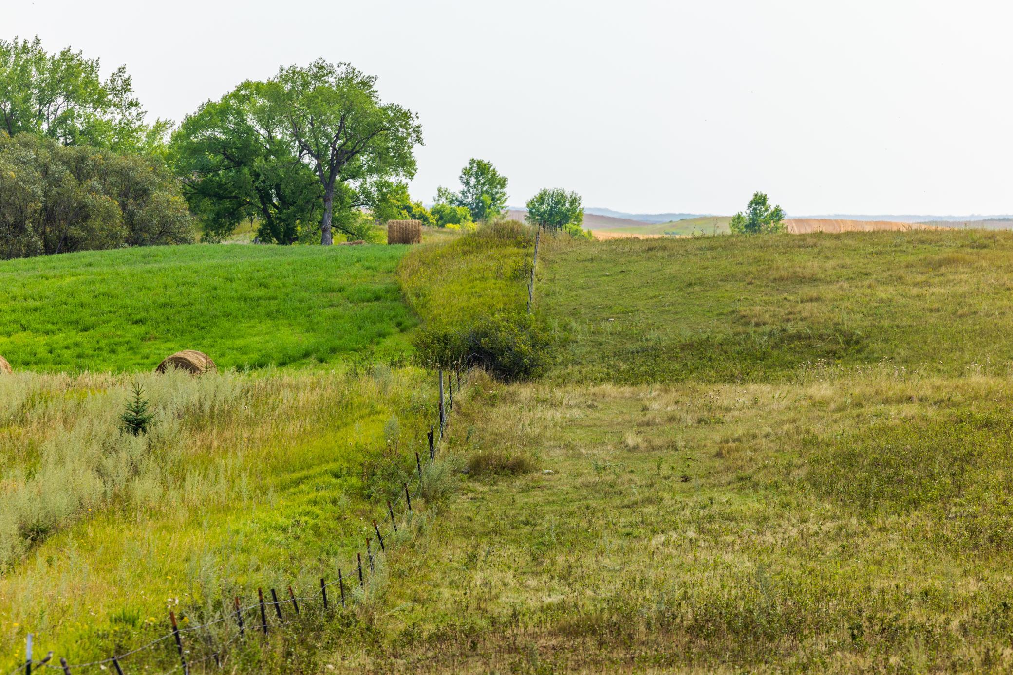 land for sale at TBD 20 Ave SE Lot 1 in Goodrich, ND (photo 39 of 43)