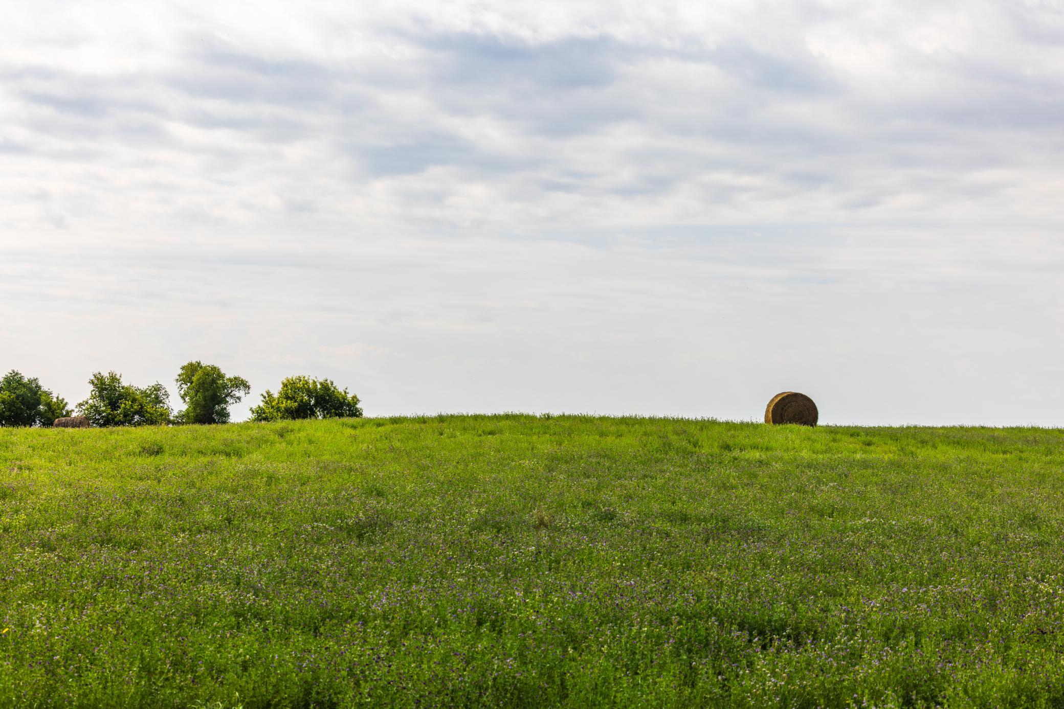 land for sale at TBD 20 Ave SE Lot 1 in Goodrich, ND (photo 40 of 43)