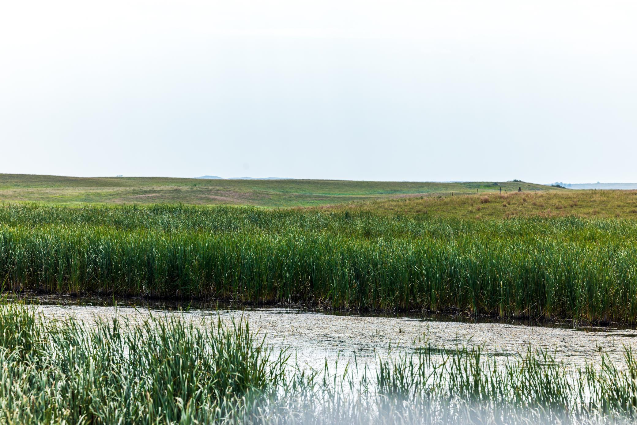 land for sale at TBD 20 Ave SE Lot 1 in Goodrich, ND (photo 5 of 43)