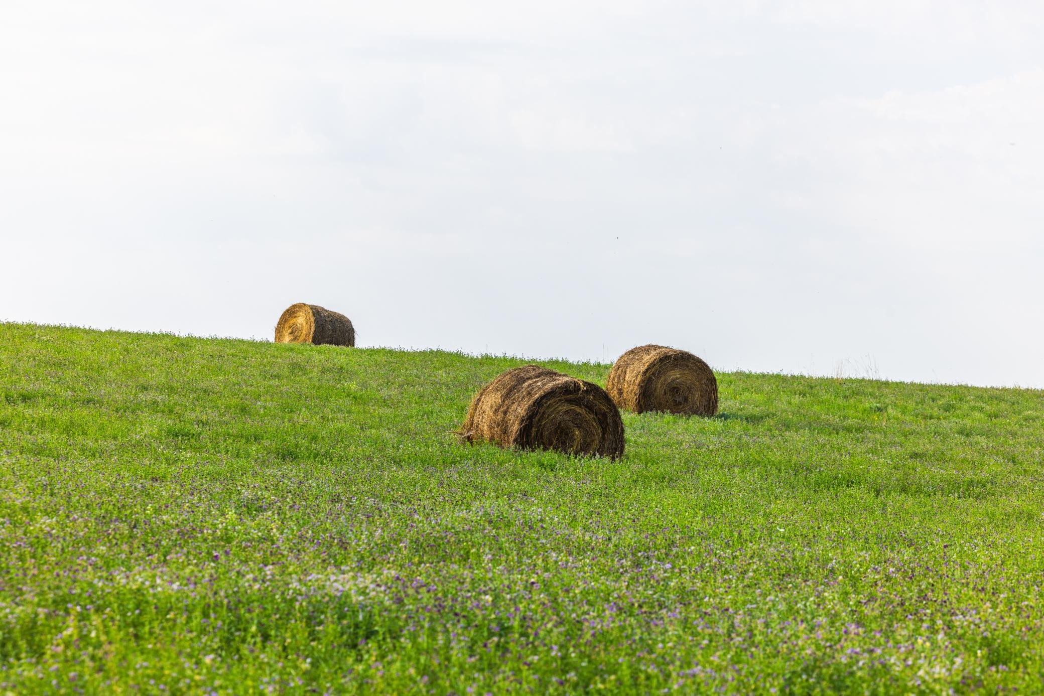 land for sale at TBD 20 Ave SE Lot 1 in Goodrich, ND (photo 41 of 43)