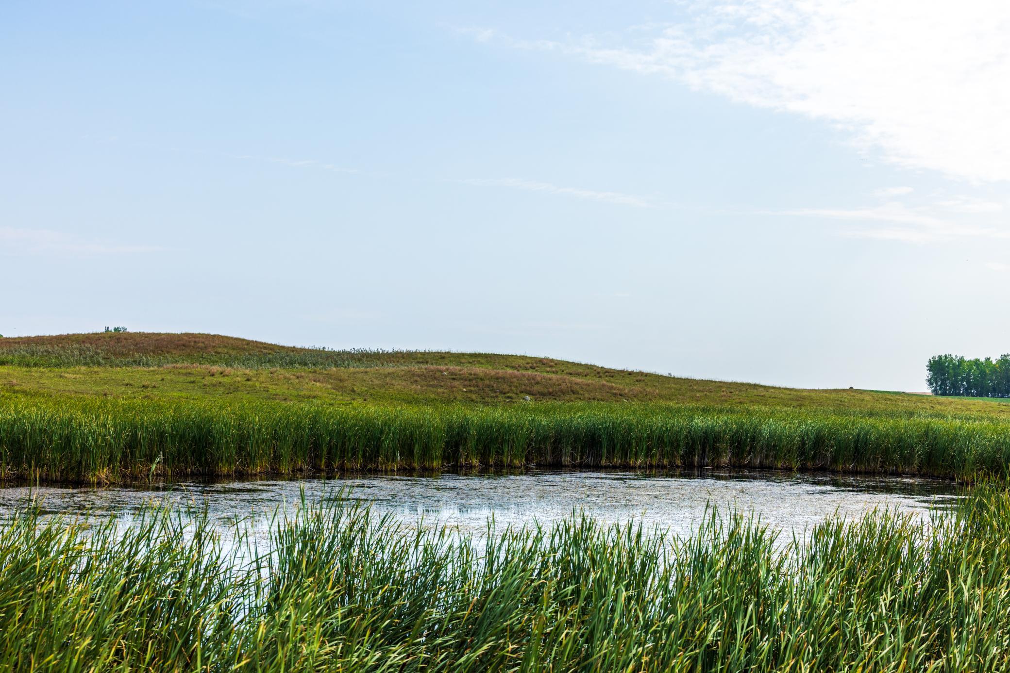 land for sale at TBD 20 Ave SE Lot 1 in Goodrich, ND (photo 6 of 43)