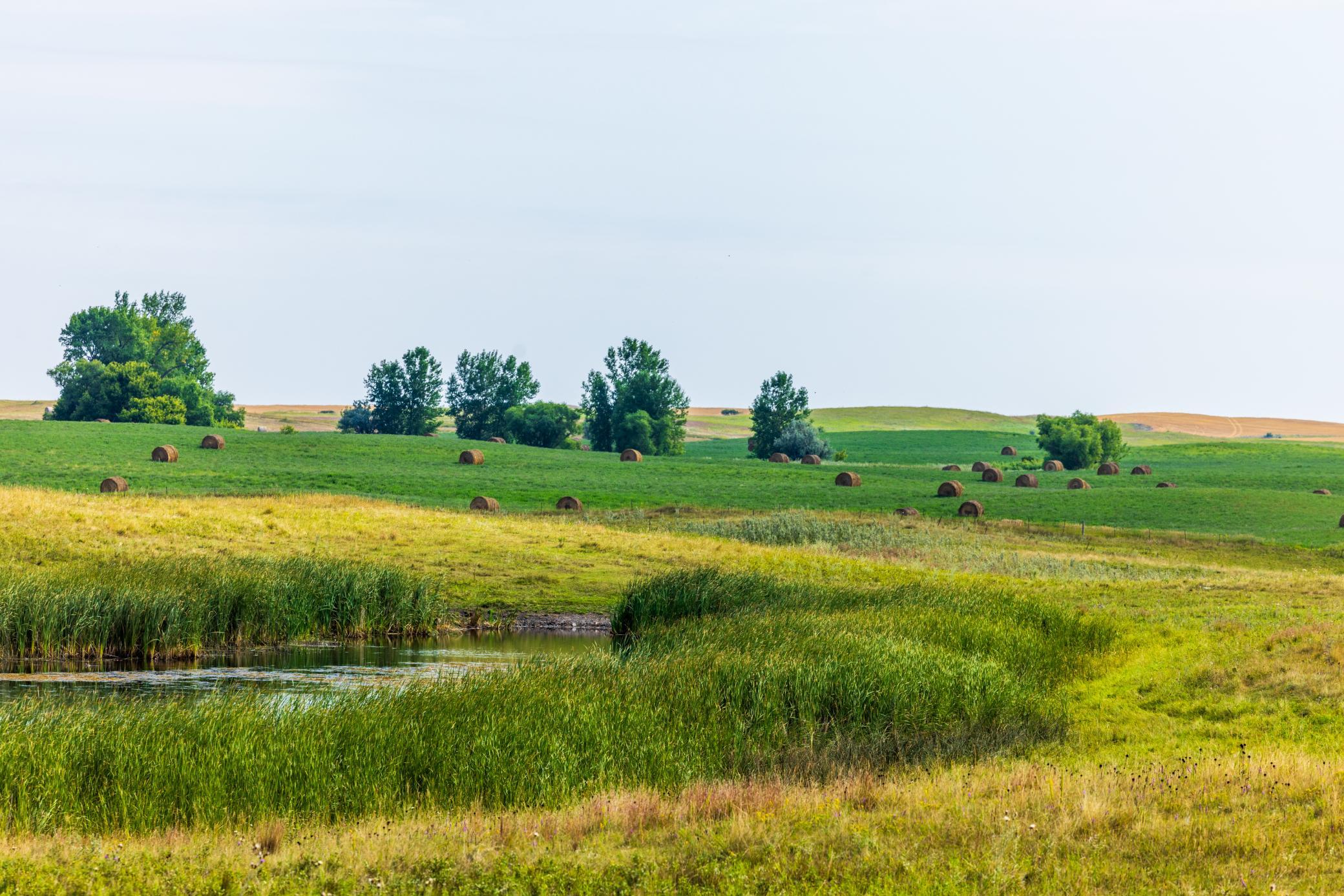 land for sale at TBD 20 Ave SE Lot 1 in Goodrich, ND (photo 8 of 43)