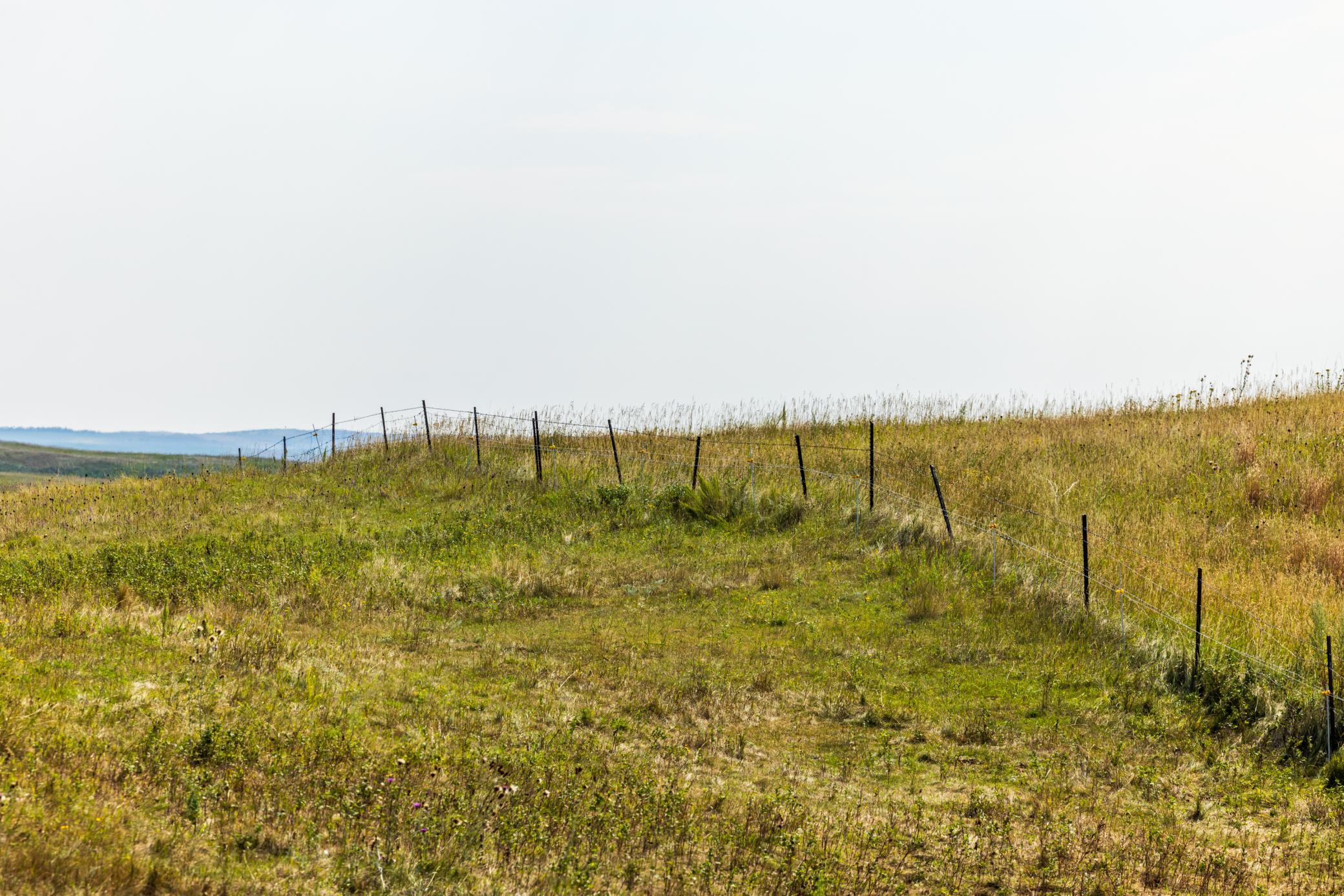 land for sale at TBD 20 Ave SE Lot 1 in Goodrich, ND (photo 9 of 43)