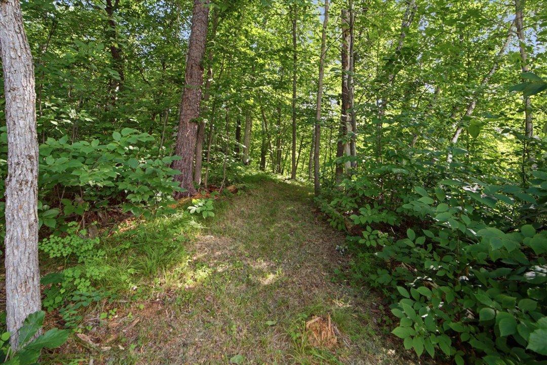 2023 single family home for sale at 31594 Green Scene Drive in Breezy Point, MN — 4 bed, 3 bath (photo 38 of 38)