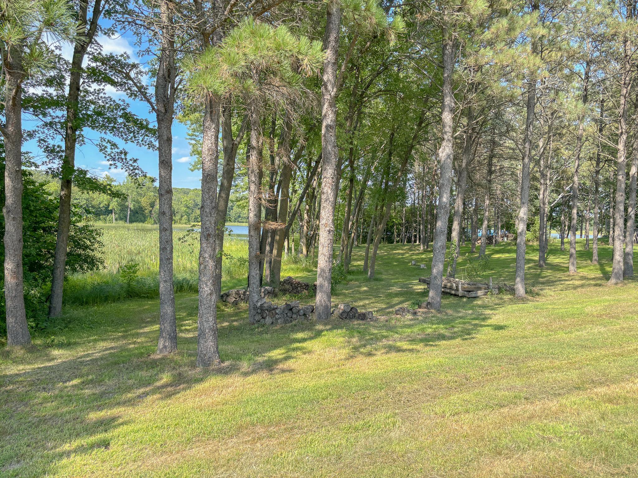 2019 land for sale at 28415 W Silent Drive in Dent, MN (photo 27 of 61)