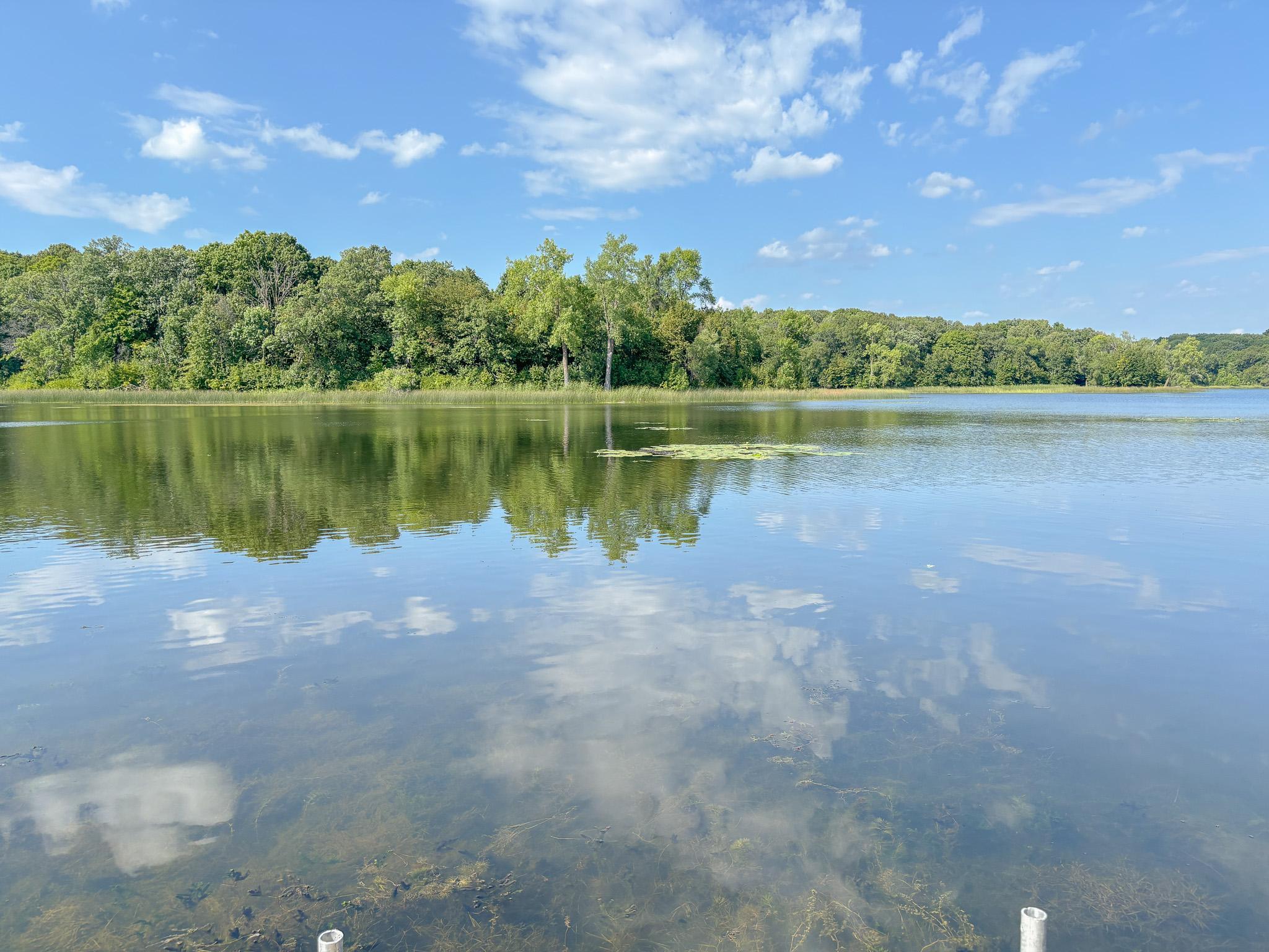 2019 land for sale at 28415 W Silent Drive in Dent, MN (photo 37 of 61)