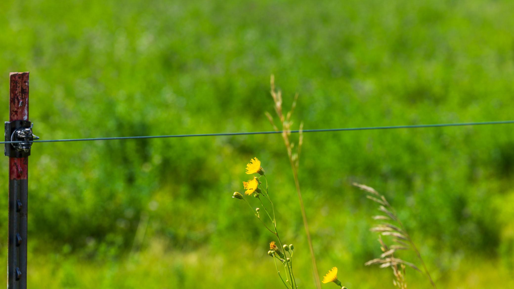 land for sale at TBD 20 Ave SE Lot 2 in Goodrich, ND (photo 16 of 68)