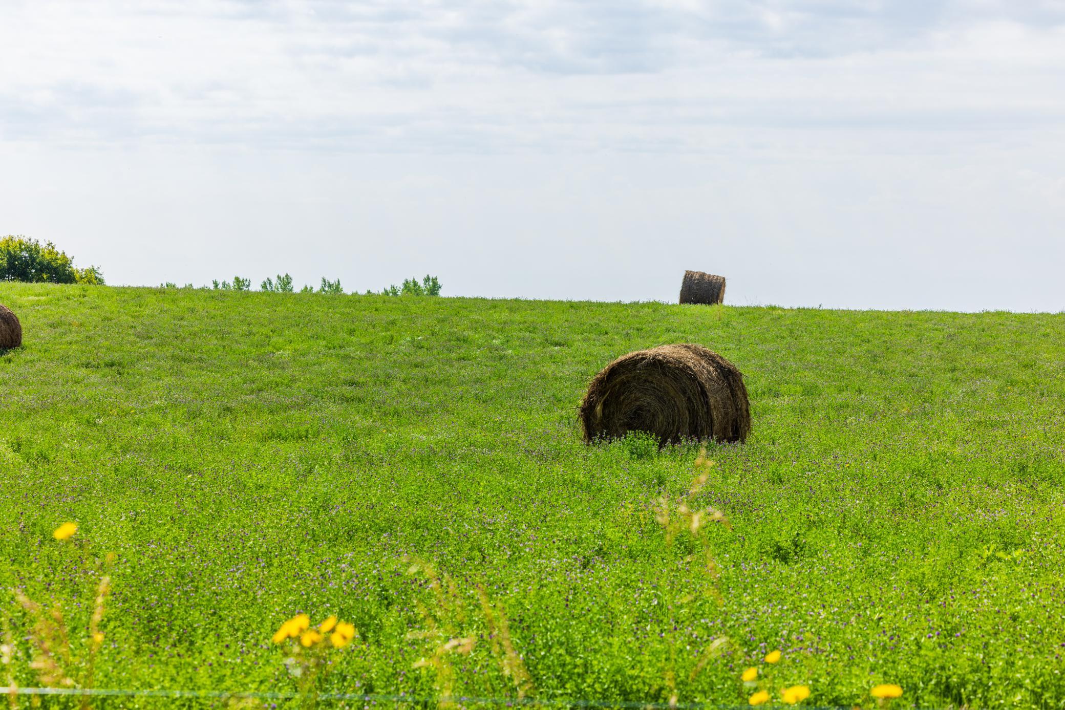 land for sale at TBD 20 Ave SE Lot 2 in Goodrich, ND (photo 17 of 68)