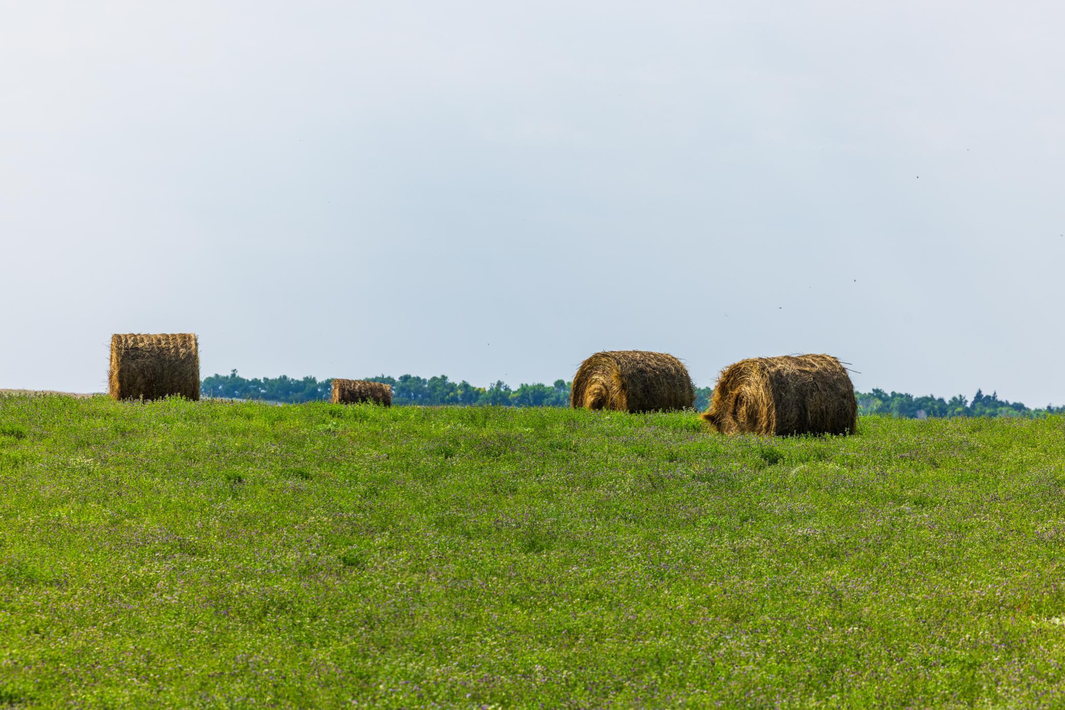 land for sale at TBD 20 Ave SE Lot 2 in Goodrich, ND (photo 18 of 68)