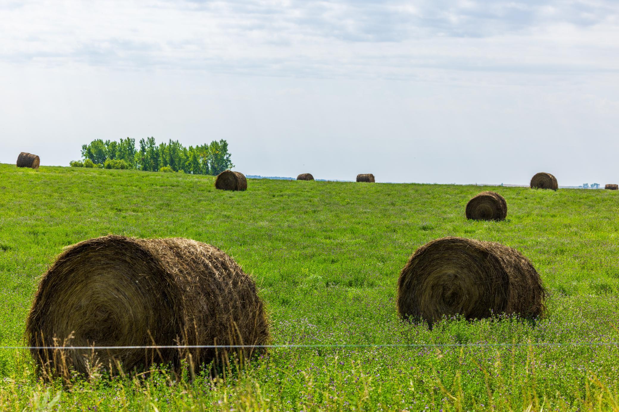 land for sale at TBD 20 Ave SE Lot 2 in Goodrich, ND (photo 19 of 68)
