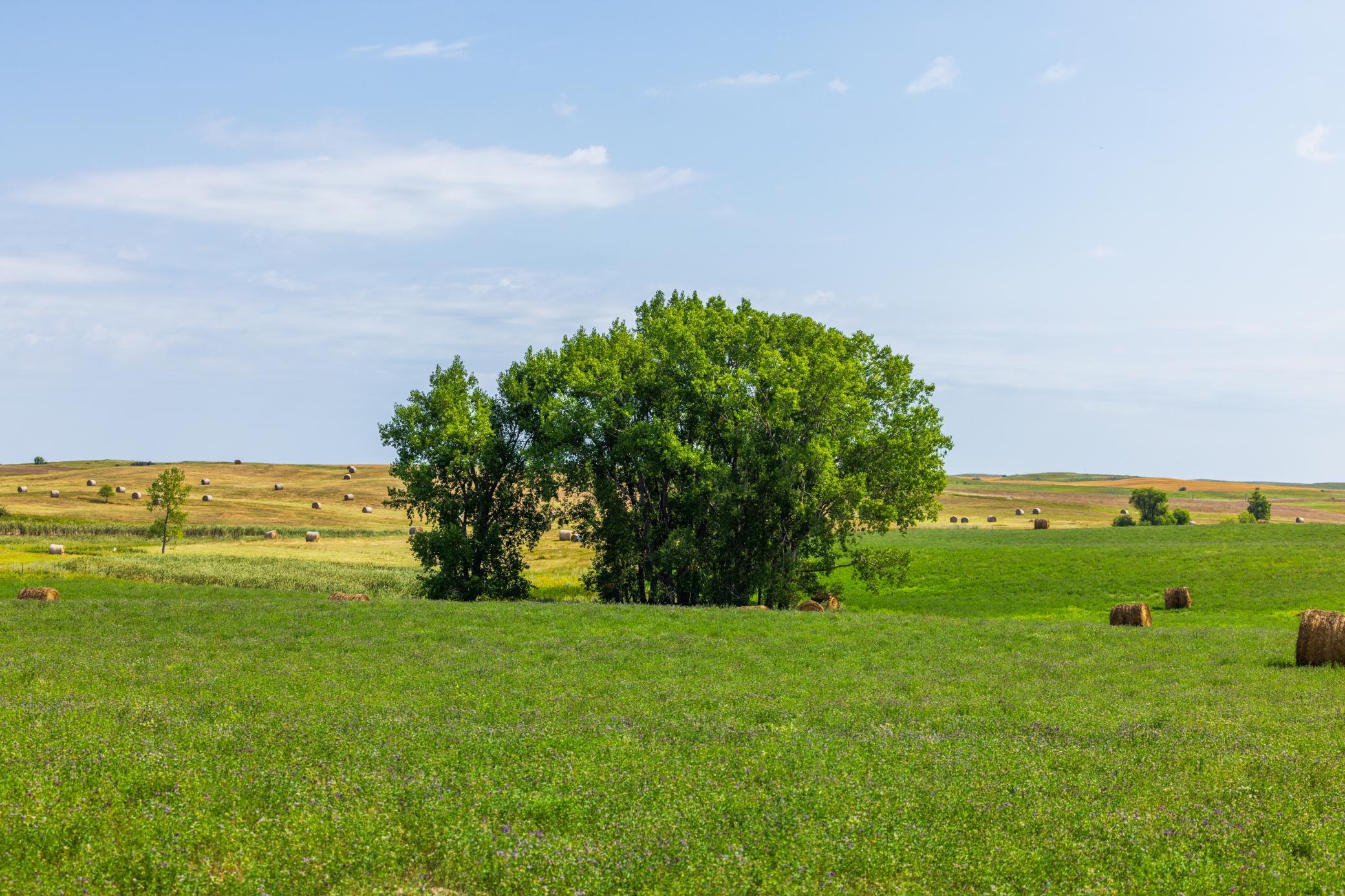land for sale at TBD 20 Ave SE Lot 2 in Goodrich, ND (photo 23 of 68)