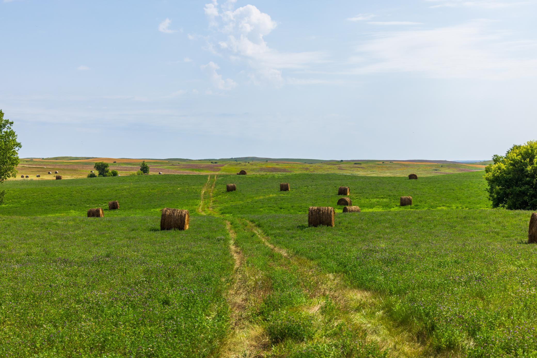land for sale at TBD 20 Ave SE Lot 2 in Goodrich, ND (photo 24 of 68)
