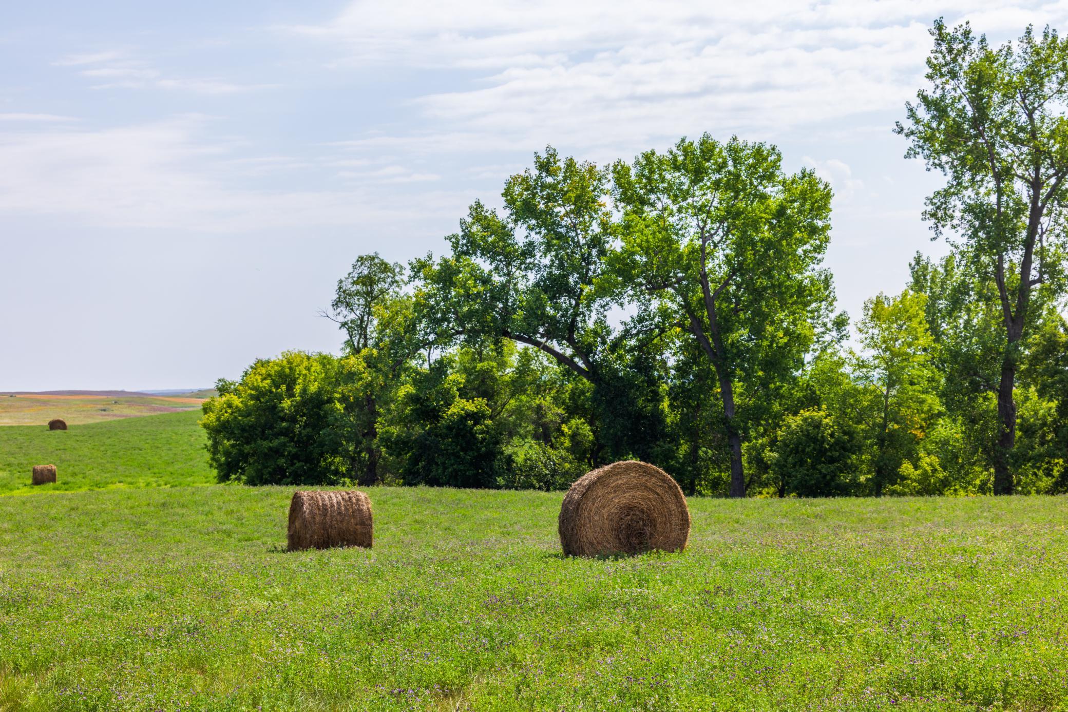 land for sale at TBD 20 Ave SE Lot 2 in Goodrich, ND (photo 25 of 68)