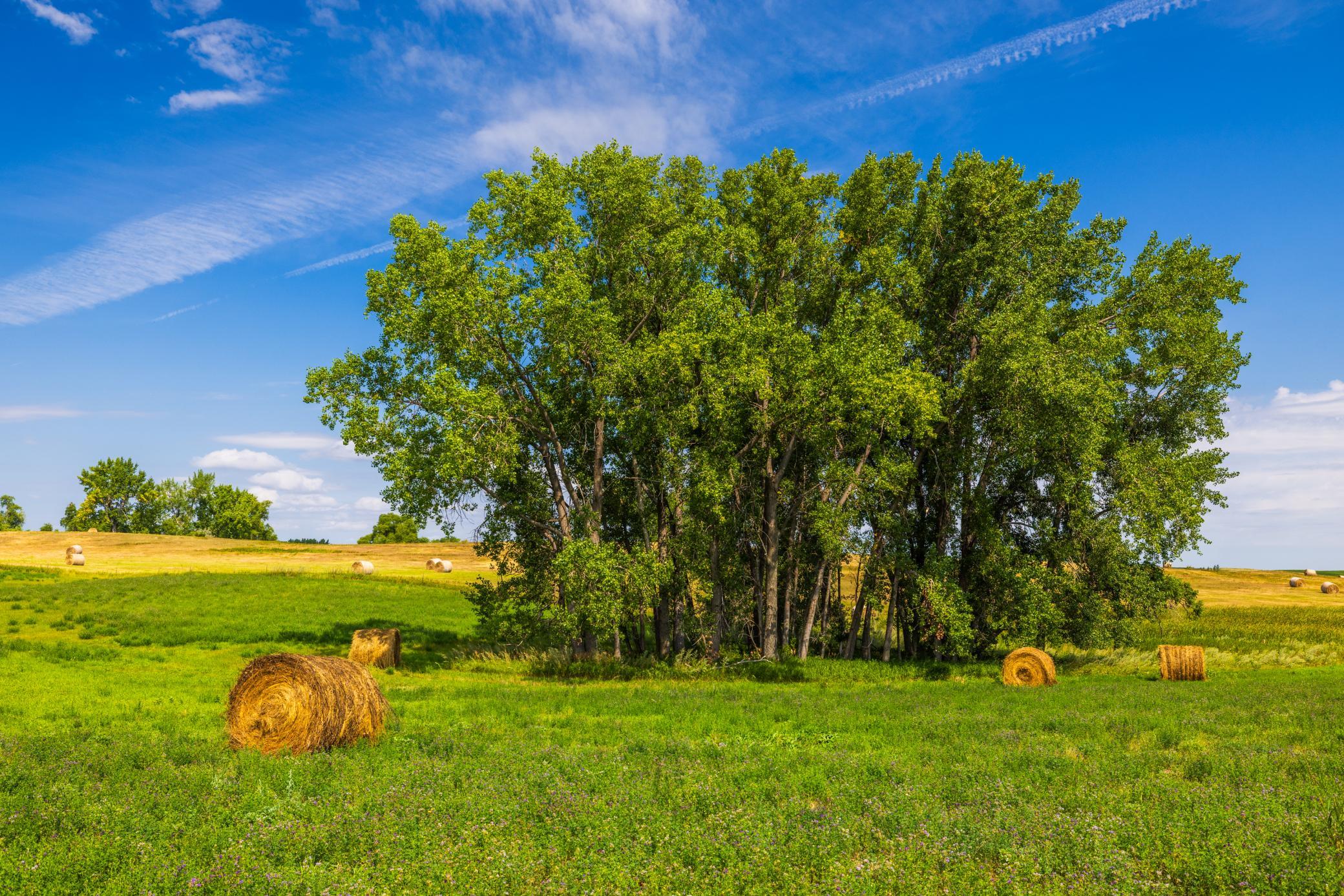 land for sale at TBD 20 Ave SE Lot 2 in Goodrich, ND (photo 26 of 68)