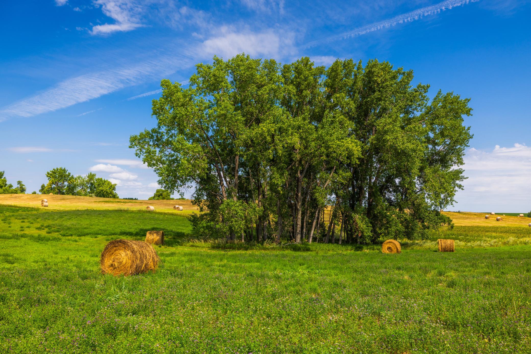 land for sale at TBD 20 Ave SE Lot 2 in Goodrich, ND (photo 28 of 68)