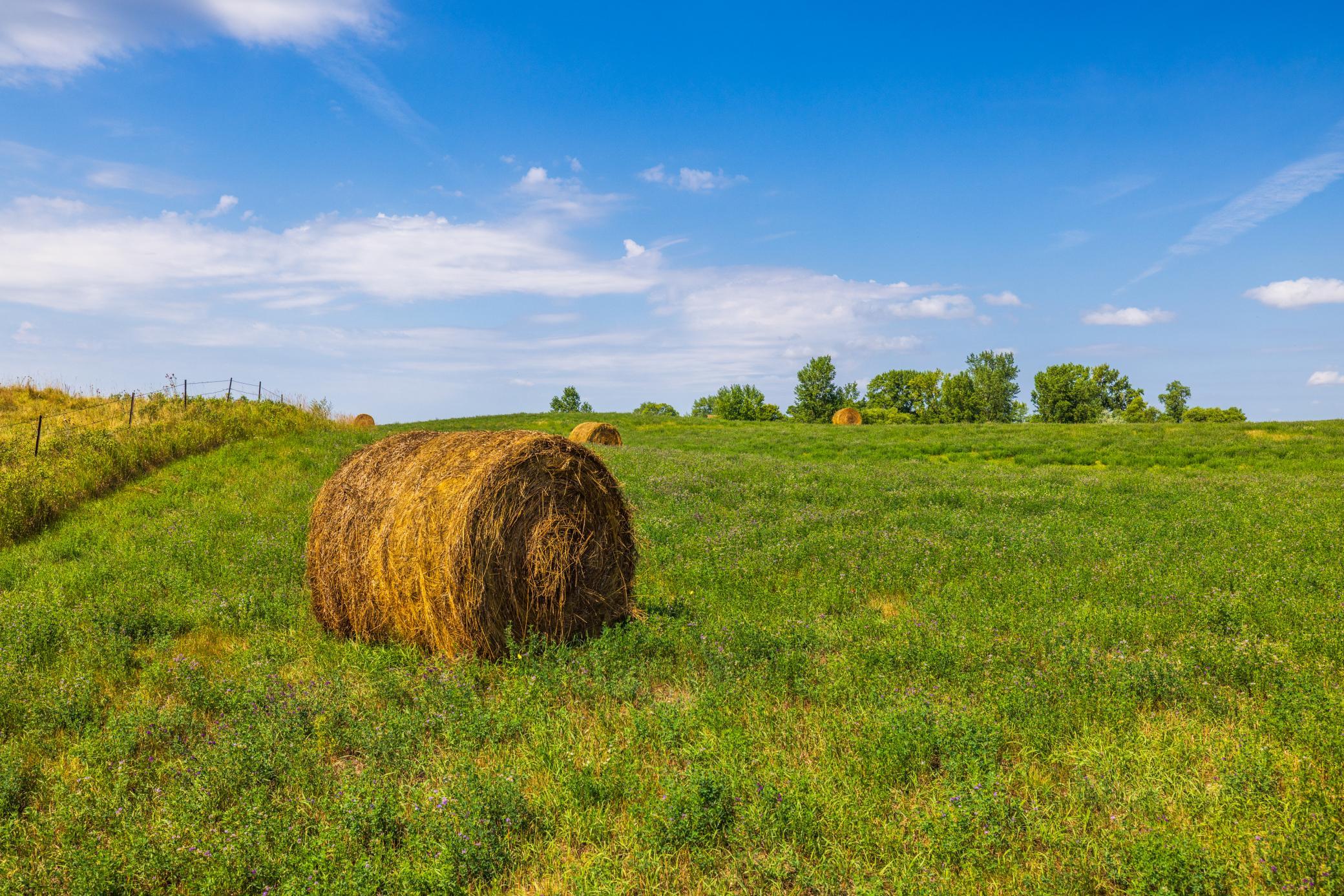 land for sale at TBD 20 Ave SE Lot 2 in Goodrich, ND (photo 33 of 68)