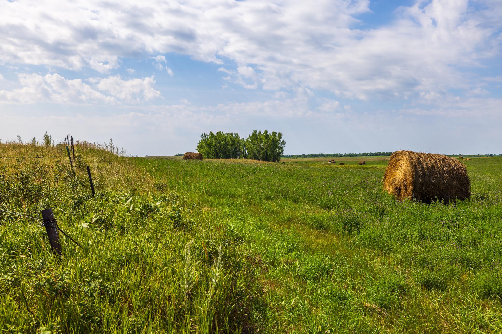 land for sale at TBD 20 Ave SE Lot 2 in Goodrich, ND (photo 34 of 68)