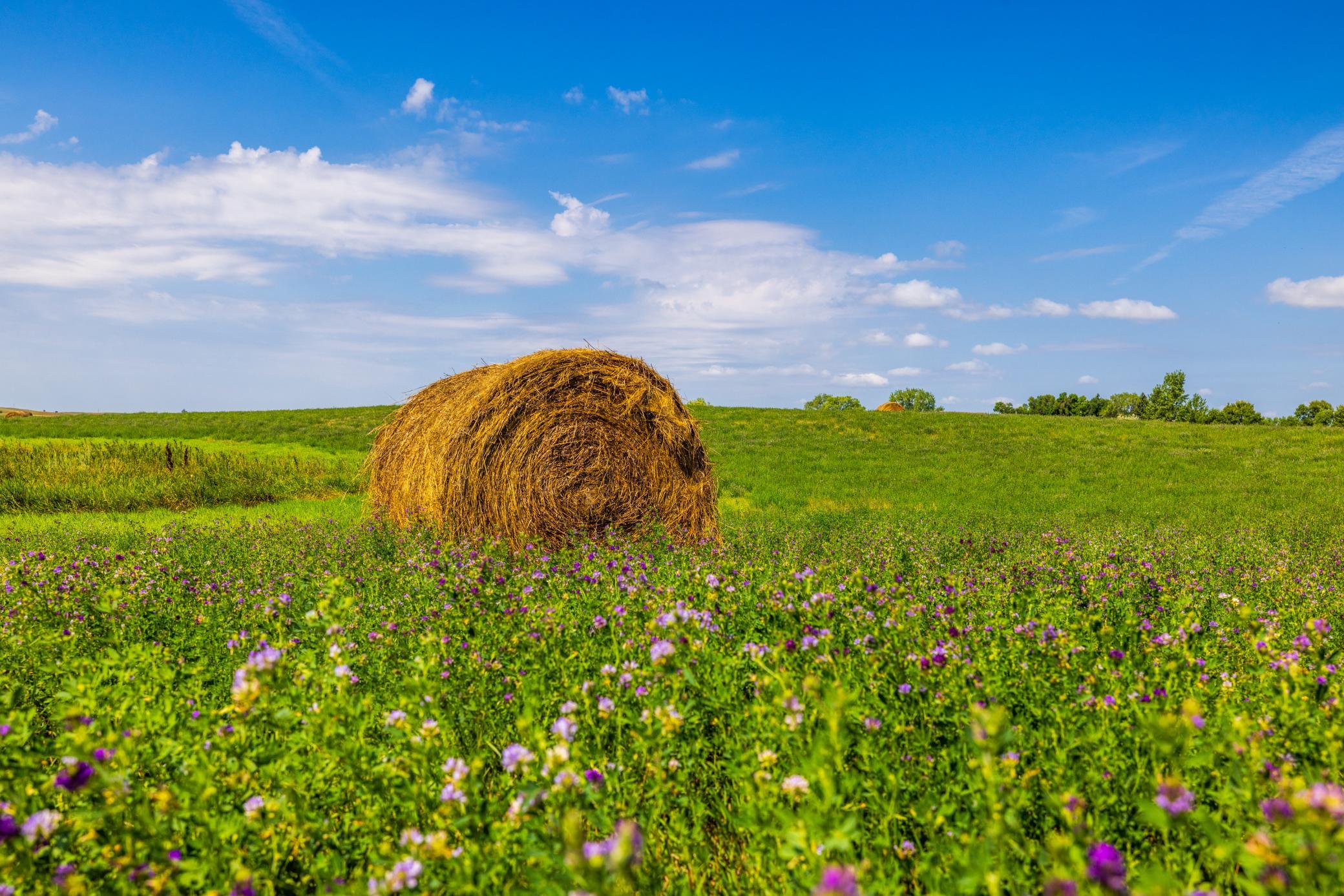 land for sale at TBD 20 Ave SE Lot 2 in Goodrich, ND (photo 36 of 68)