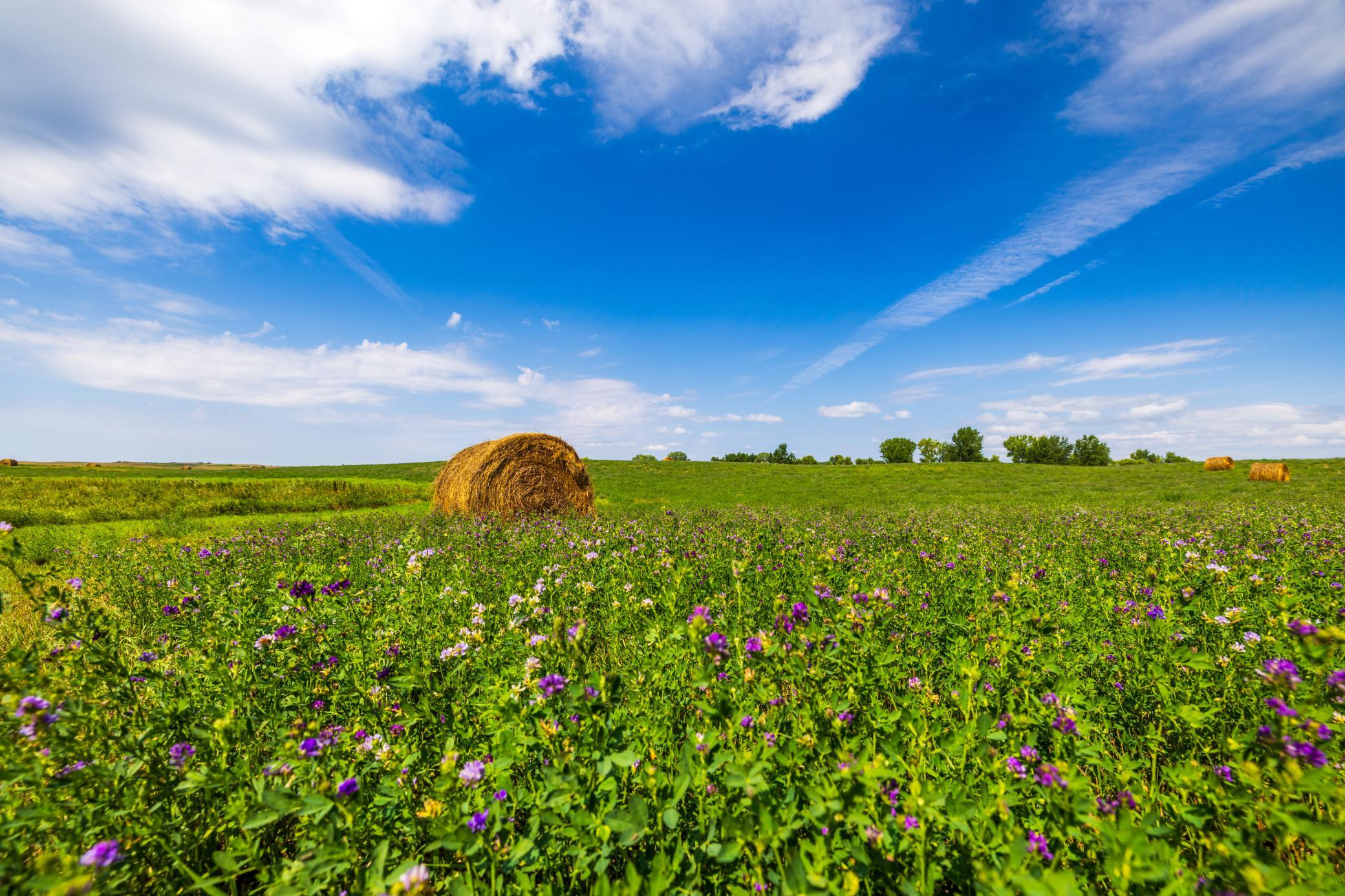 land for sale at TBD 20 Ave SE Lot 2 in Goodrich, ND (photo 37 of 68)