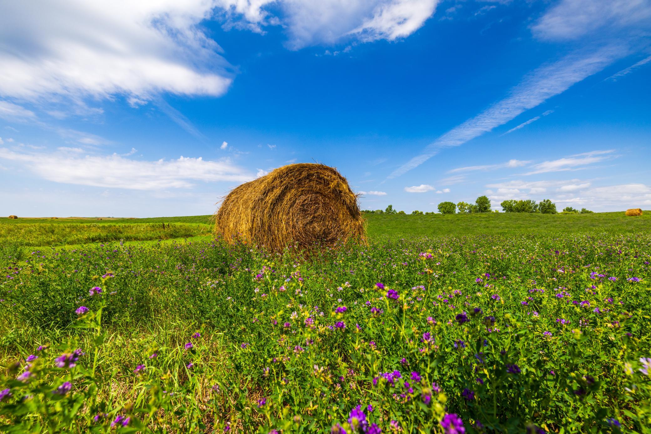 land for sale at TBD 20 Ave SE Lot 2 in Goodrich, ND (photo 38 of 68)