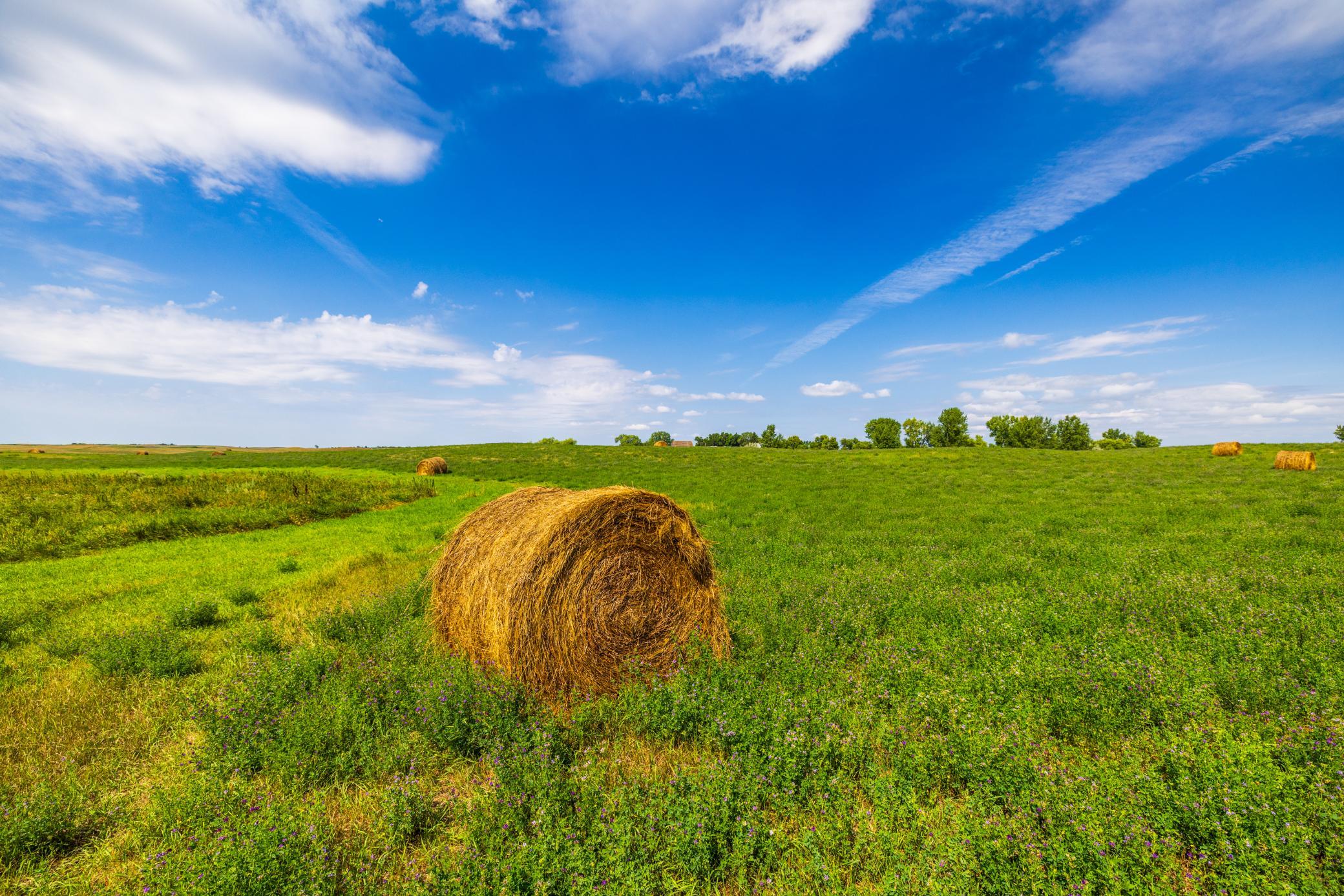 land for sale at TBD 20 Ave SE Lot 2 in Goodrich, ND (photo 39 of 68)