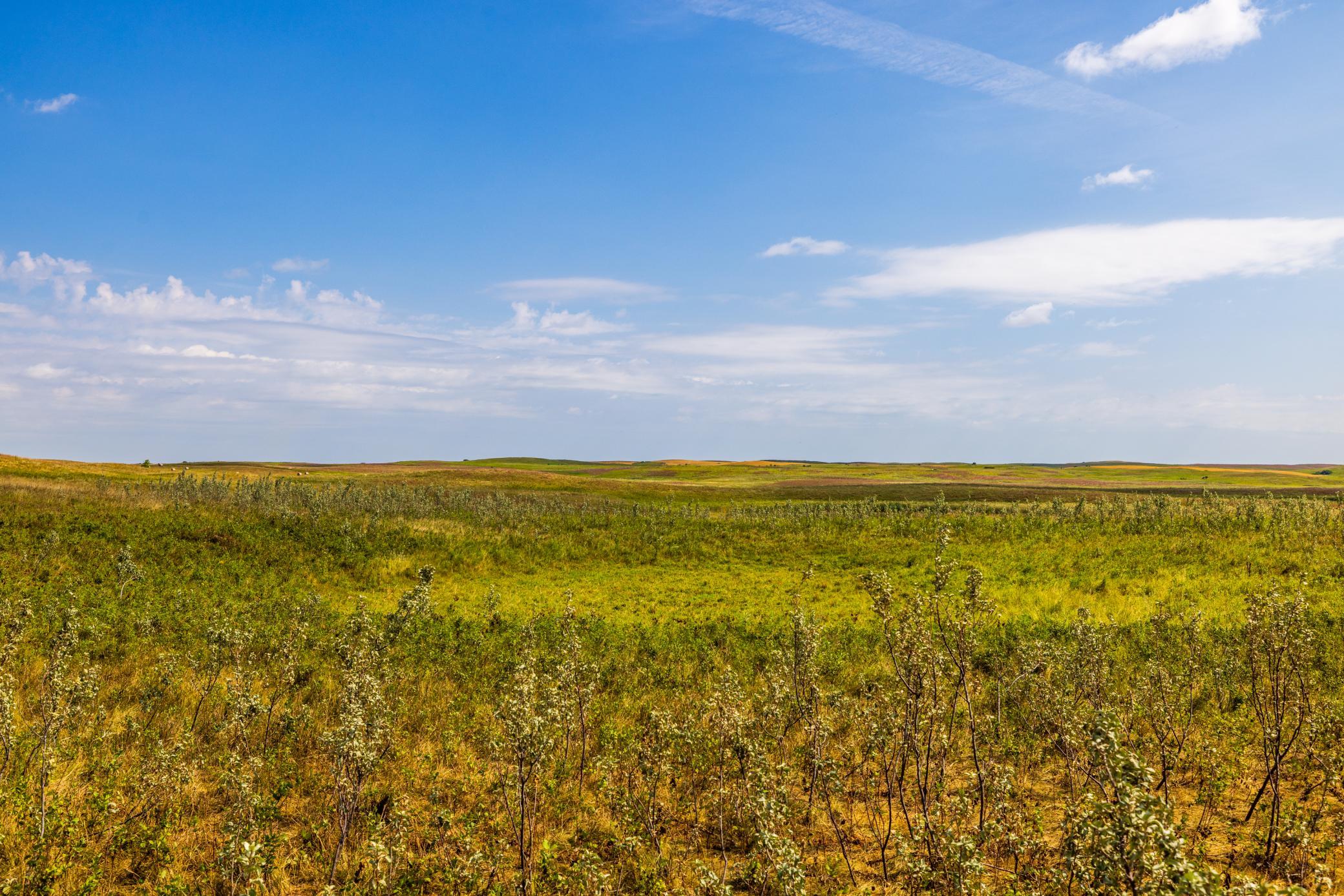 land for sale at TBD 20 Ave SE Lot 2 in Goodrich, ND (photo 40 of 68)