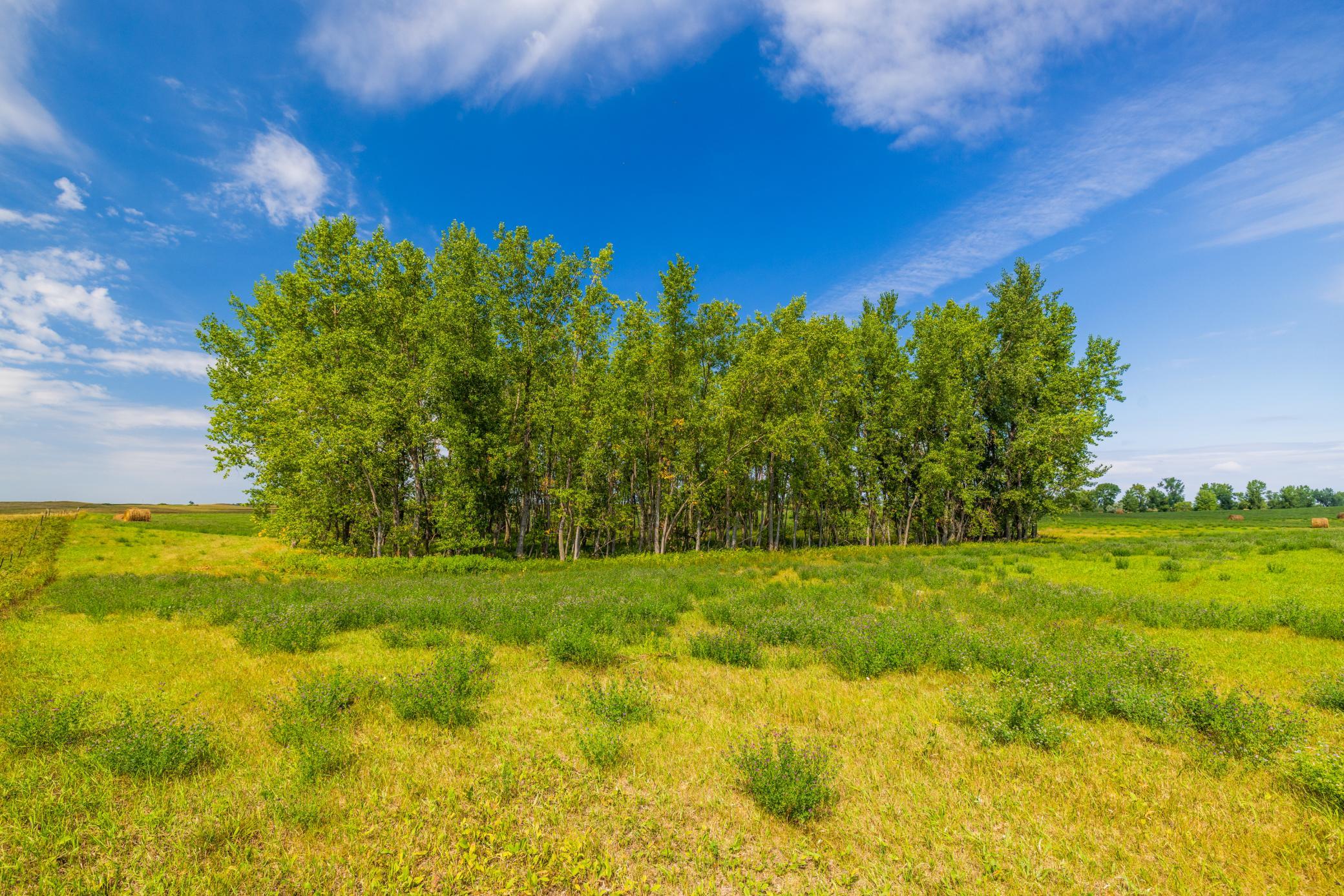 land for sale at TBD 20 Ave SE Lot 2 in Goodrich, ND (photo 41 of 68)