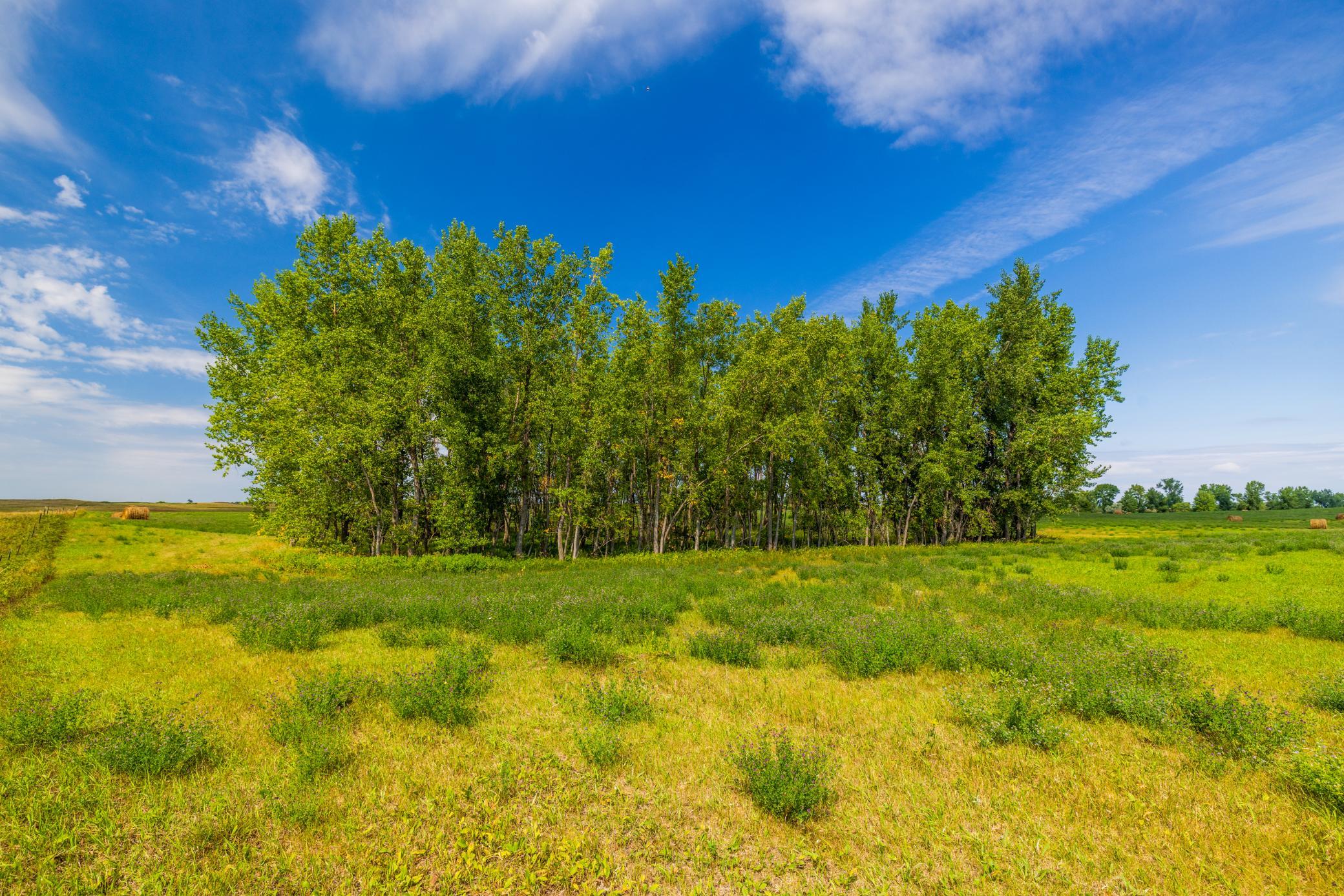 land for sale at TBD 20 Ave SE Lot 2 in Goodrich, ND (photo 42 of 68)